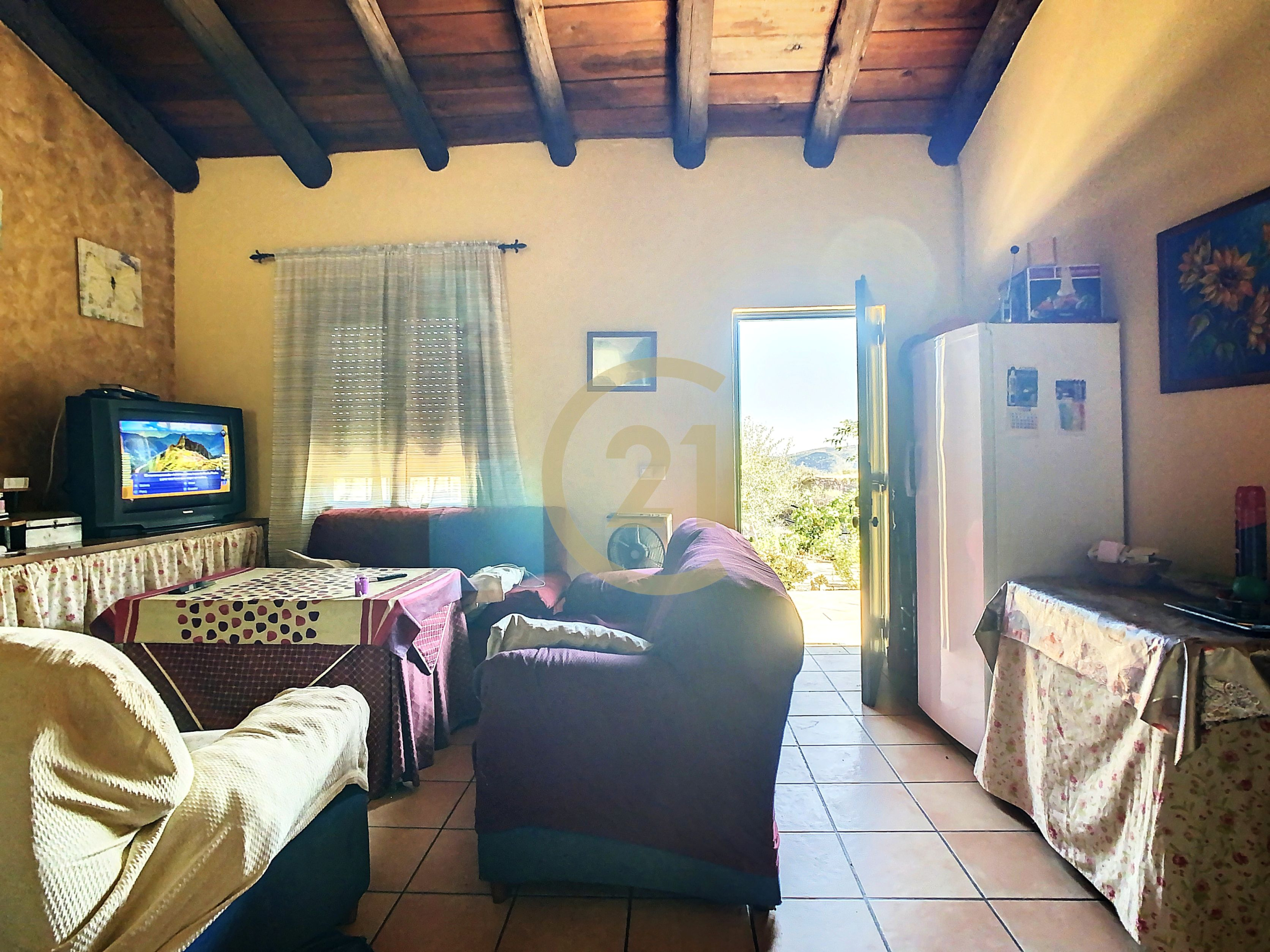 03-jpg_056a9628-b55d-46be-8f05-bf6b56685f9b