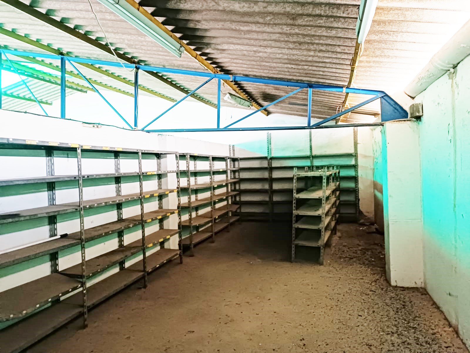 11-jpg_829a103f-0b96-40e3-a91e-c7b781d517cf