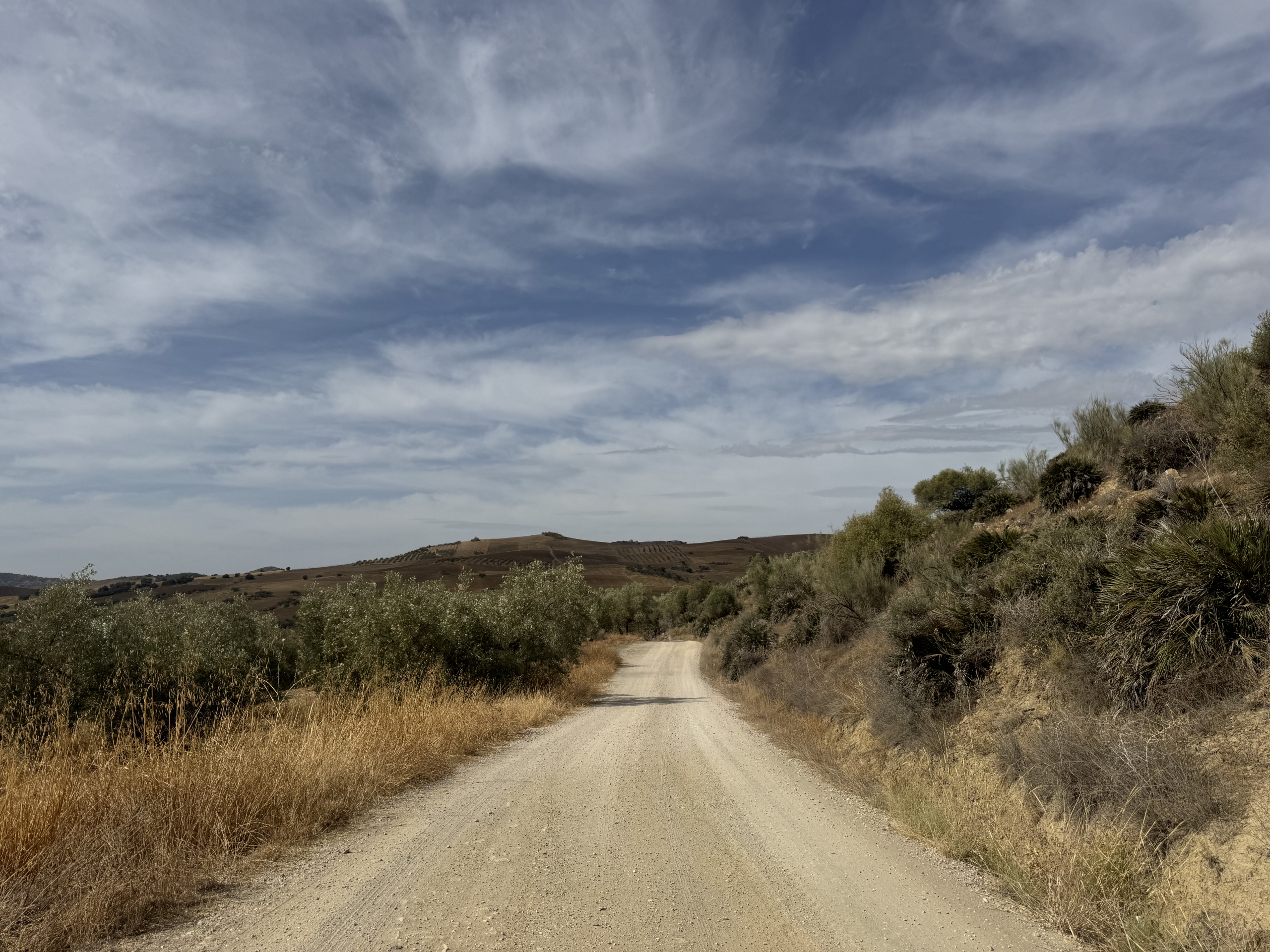 11_bb26e557-0f63-492f-8795-1aae956bd898