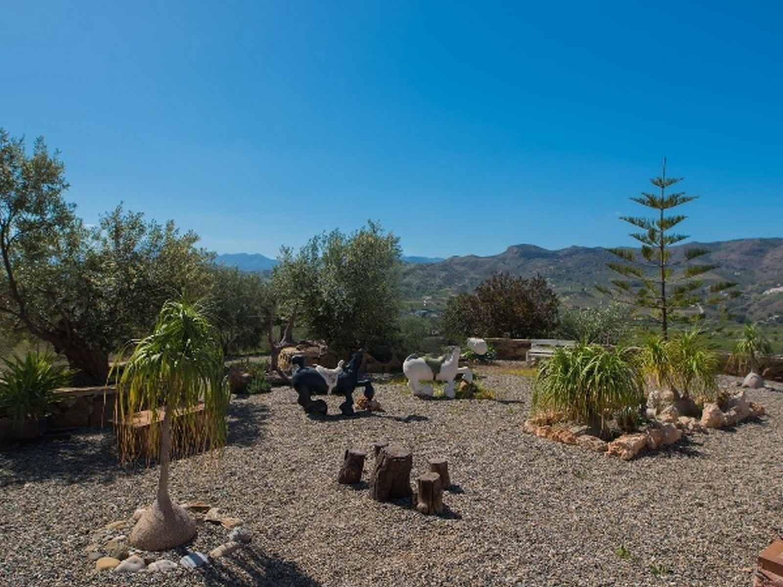 14_678dd8b9-b802-46a0-b628-27a8e746f521