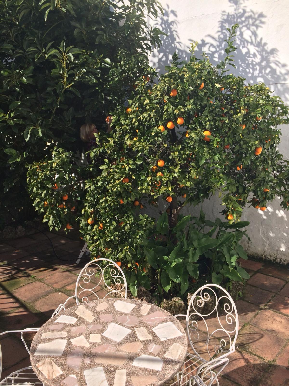 19-cf6789e3-b220-4d35-abbe-df1d61cb6413_3448f99a-8133-4551-b56a-0cc27a924086