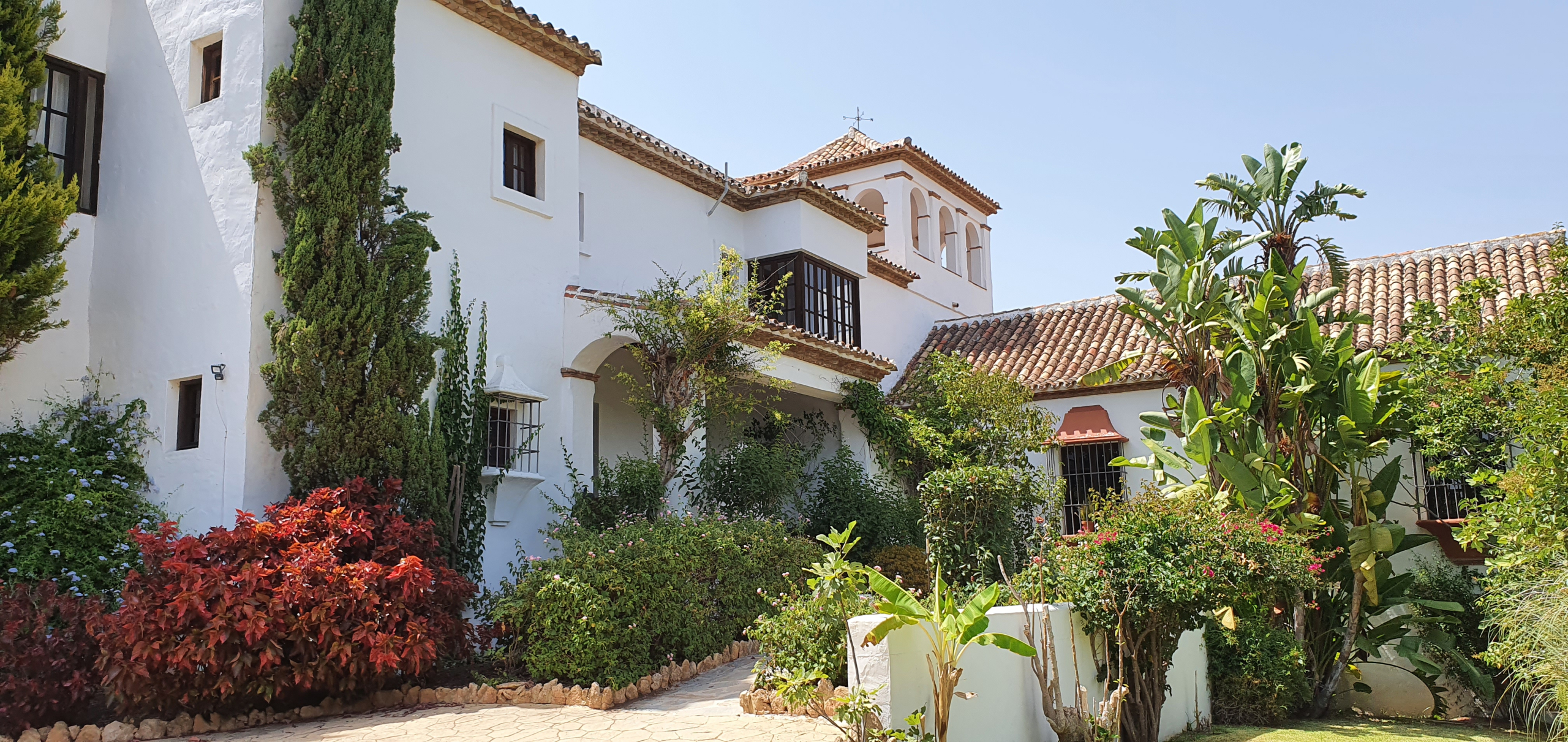 20200729-160130_28732663-5773-4c03-9c97-67a2518a2cf4