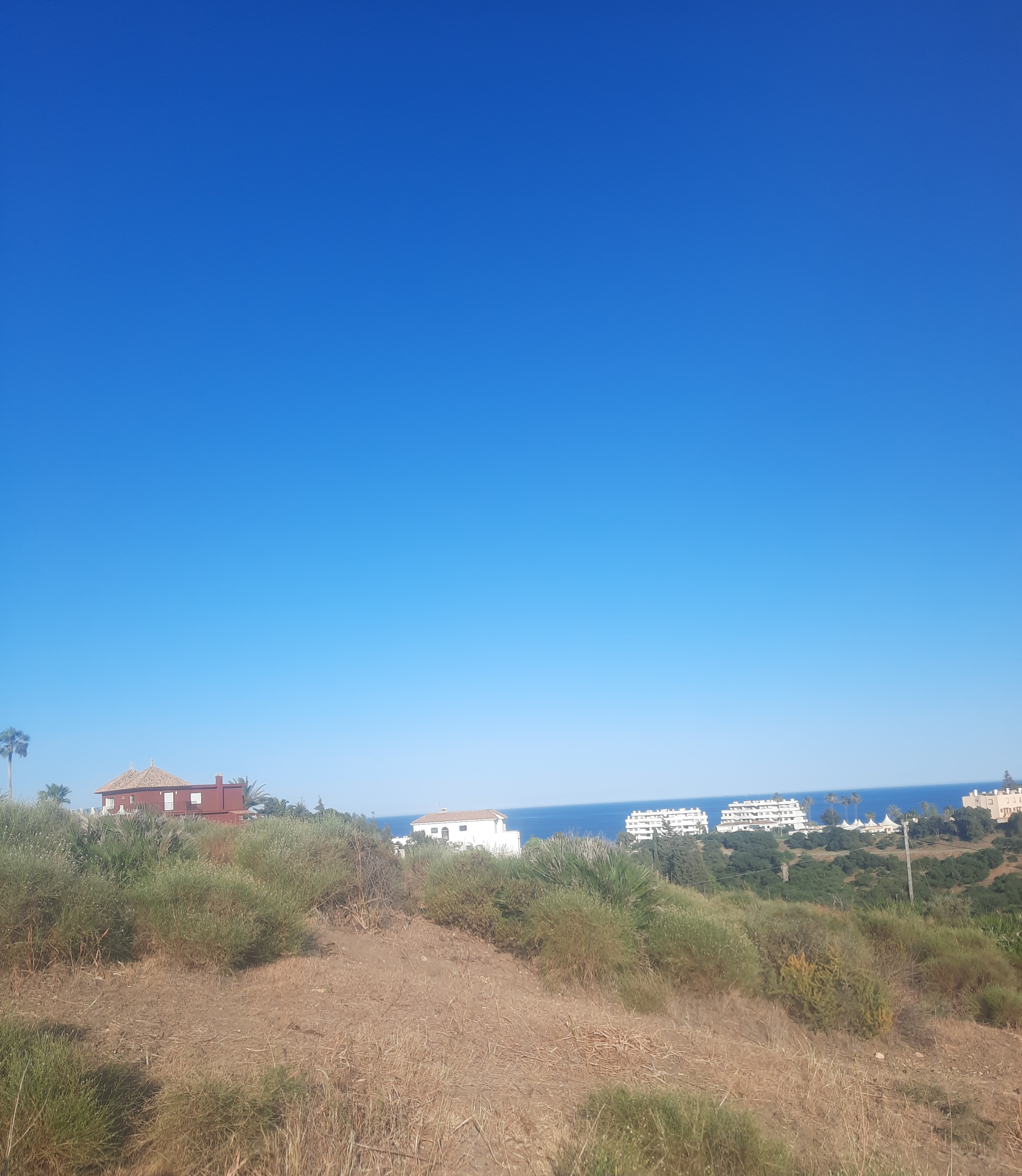 20230425-191333_1f1570fb-2341-4caf-897f-3bc89b076517