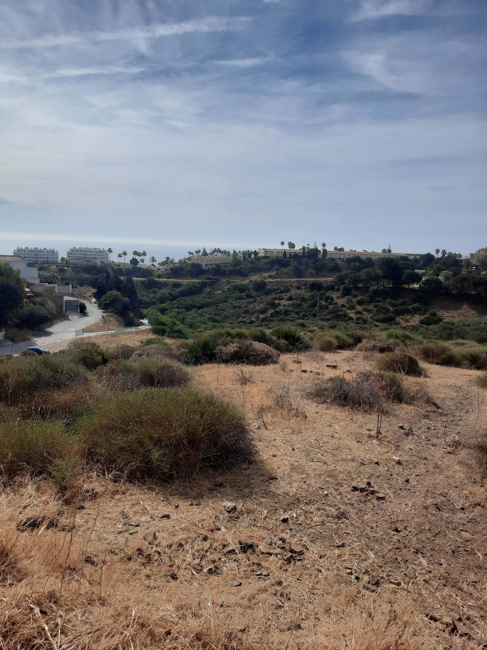 20230504-103517_2cb56a61-c3f9-4457-8c4d-37ee8cdcf119