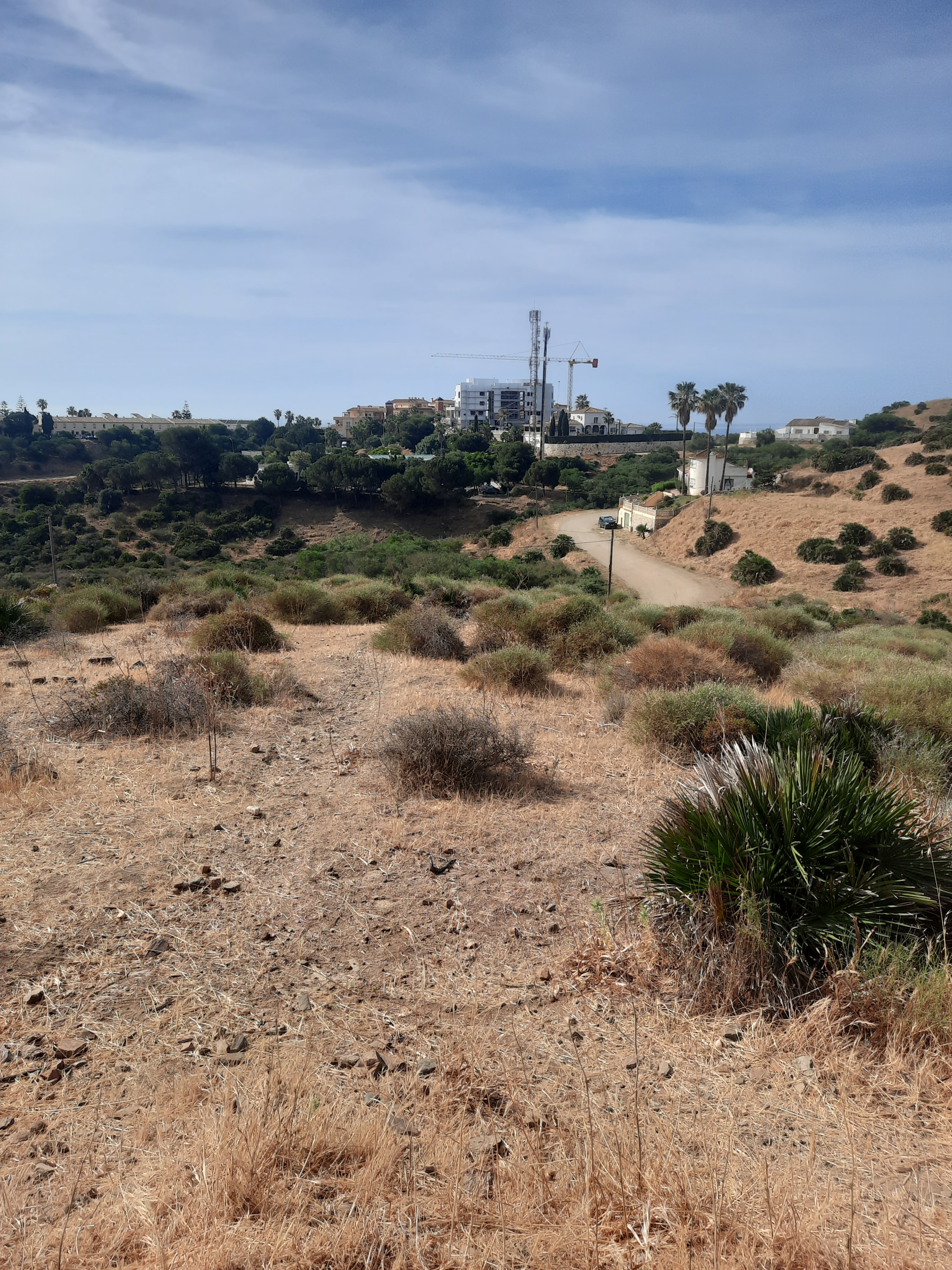 20230504-103521_b099ab61-2187-4baf-8e14-dbaf698b0d19