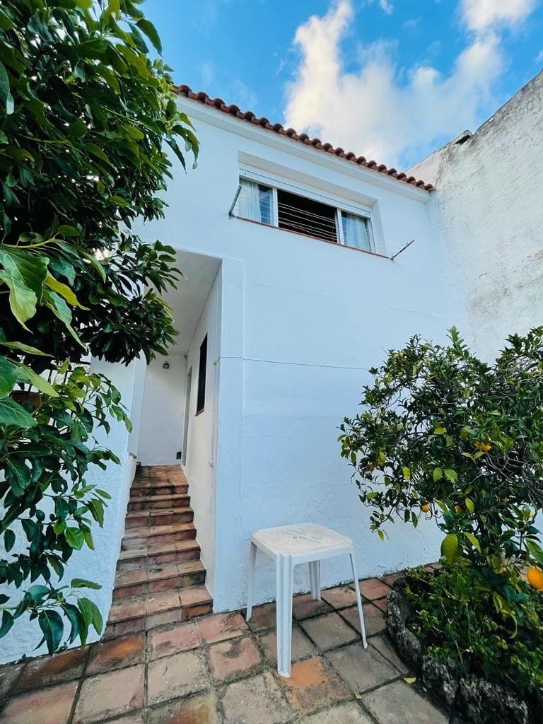 31-1c3319eb-2e29-4a7c-8abc-9bcf740d0183_f79b50e4-5375-4635-af2b-d344b8fe210f