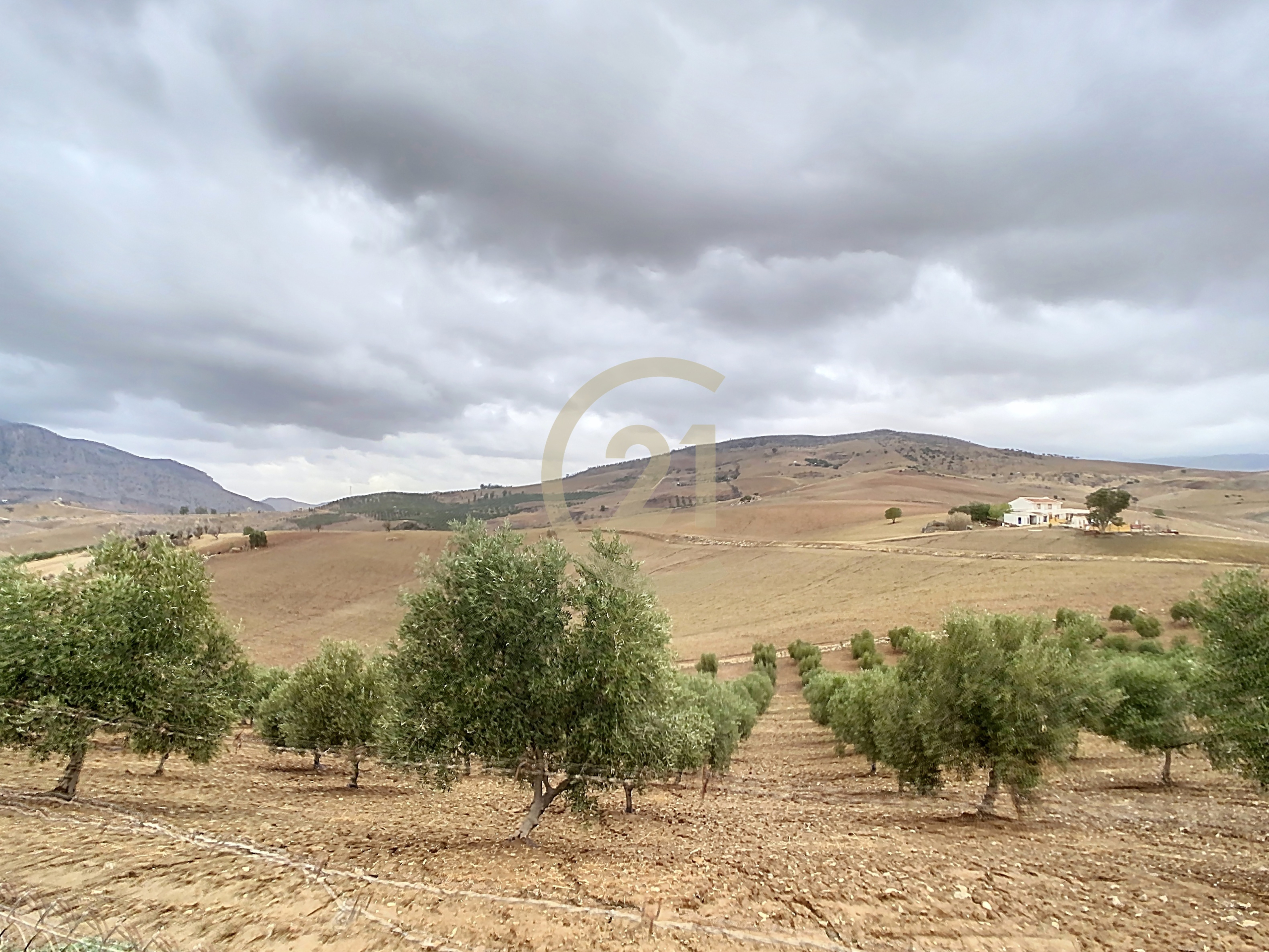 45_848b60d7-d338-41db-af28-e2a85d32dcee