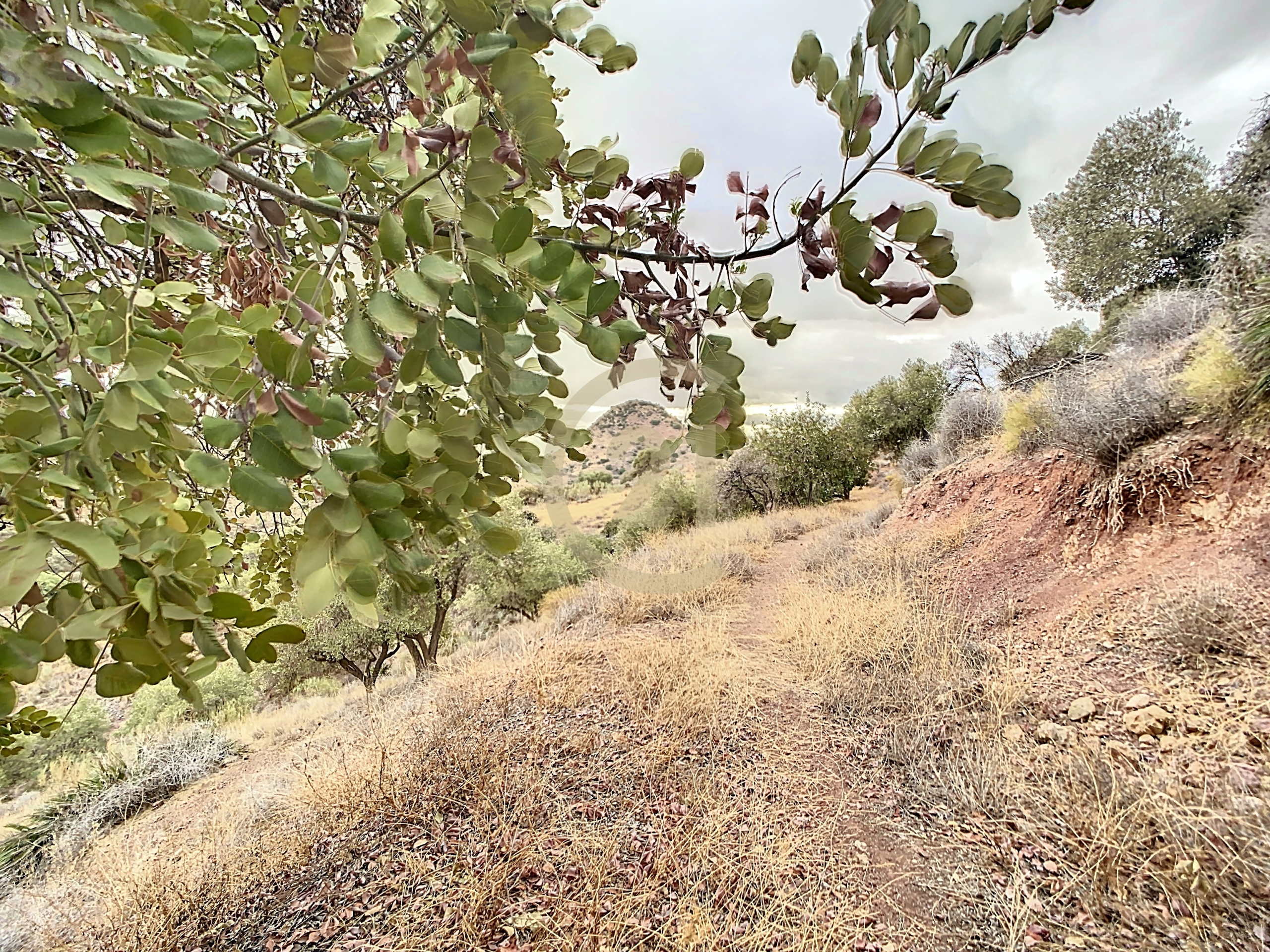 4_90b16ec8-13dc-4b37-ac99-f163ec3f710a