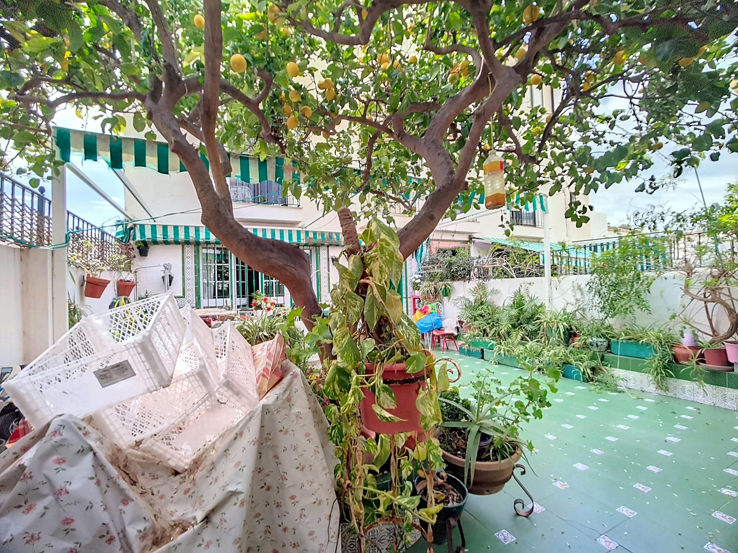 5-6_a459369f-d2e1-430c-9af7-3c3ca3c4bb04