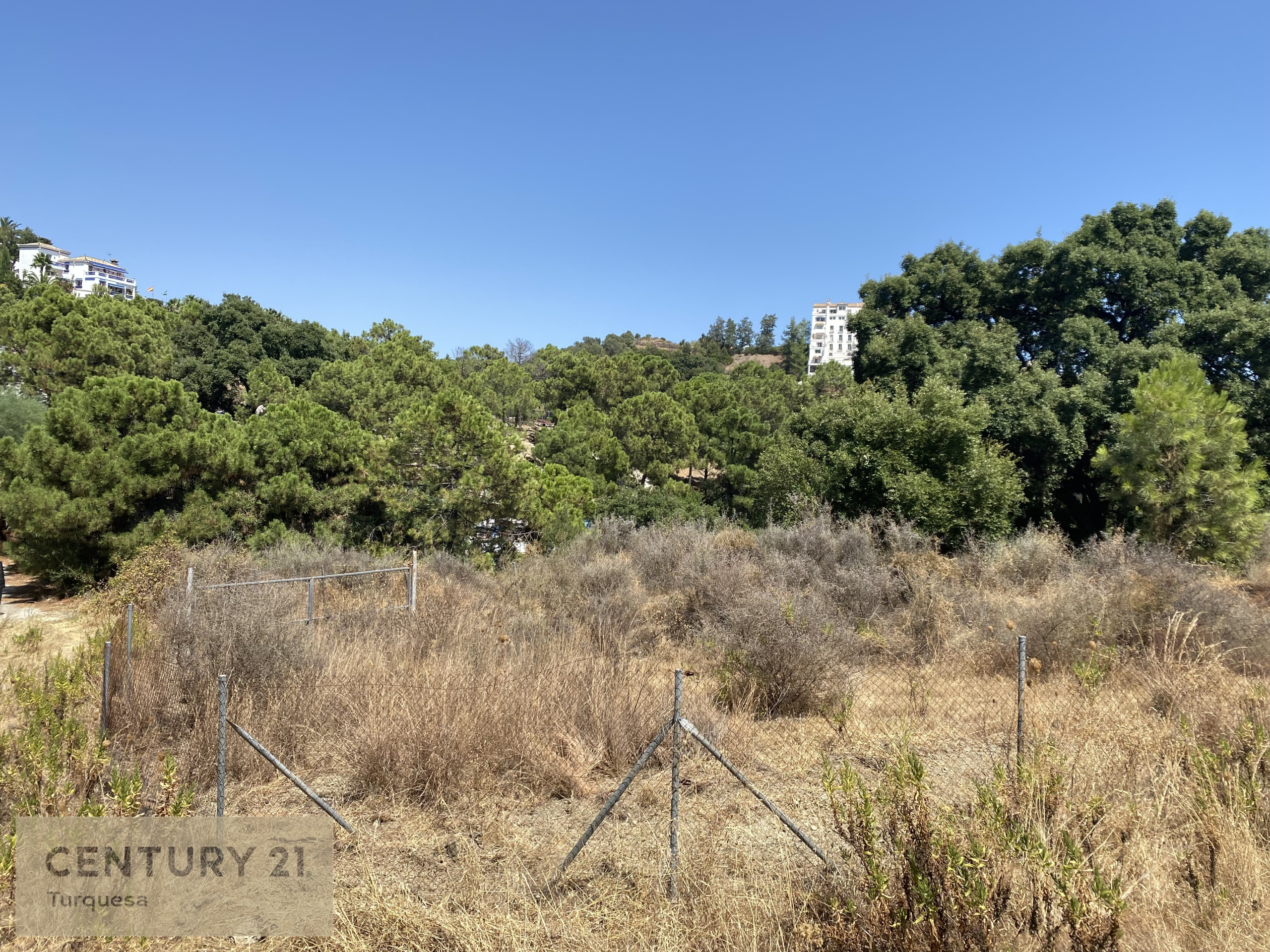 52c7d-img-cedee-1628005088-5d83bab-jpg_ee73b7ac-6261-4c05-a03e-413f056323ed