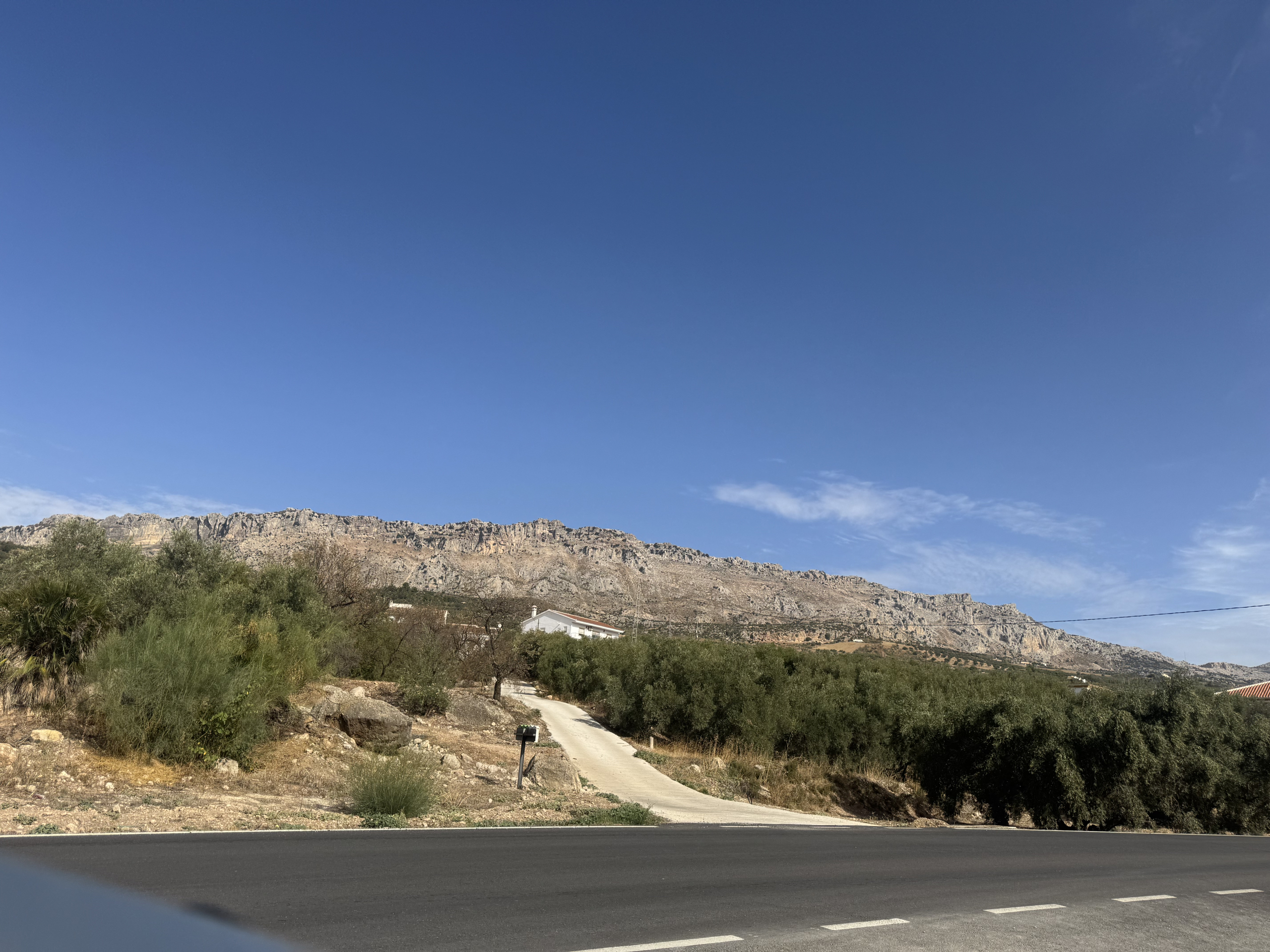 5_389ecf4b-409f-4538-99cd-29d34b34f230