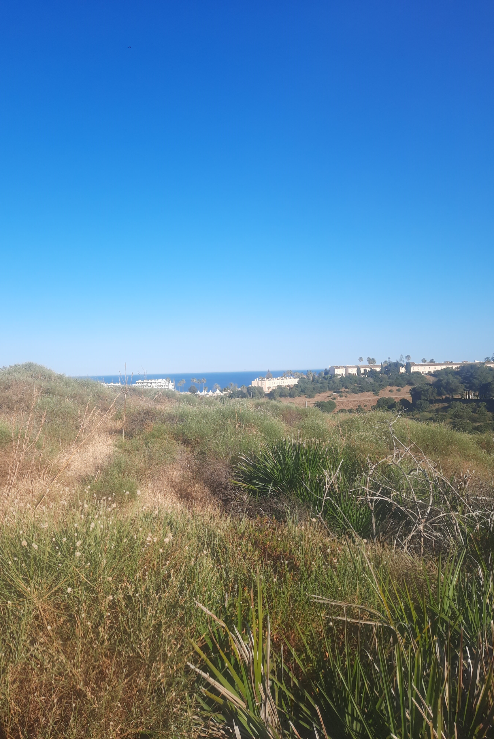 5_59d317e0-caf3-4ec1-a9fb-08555449efe6