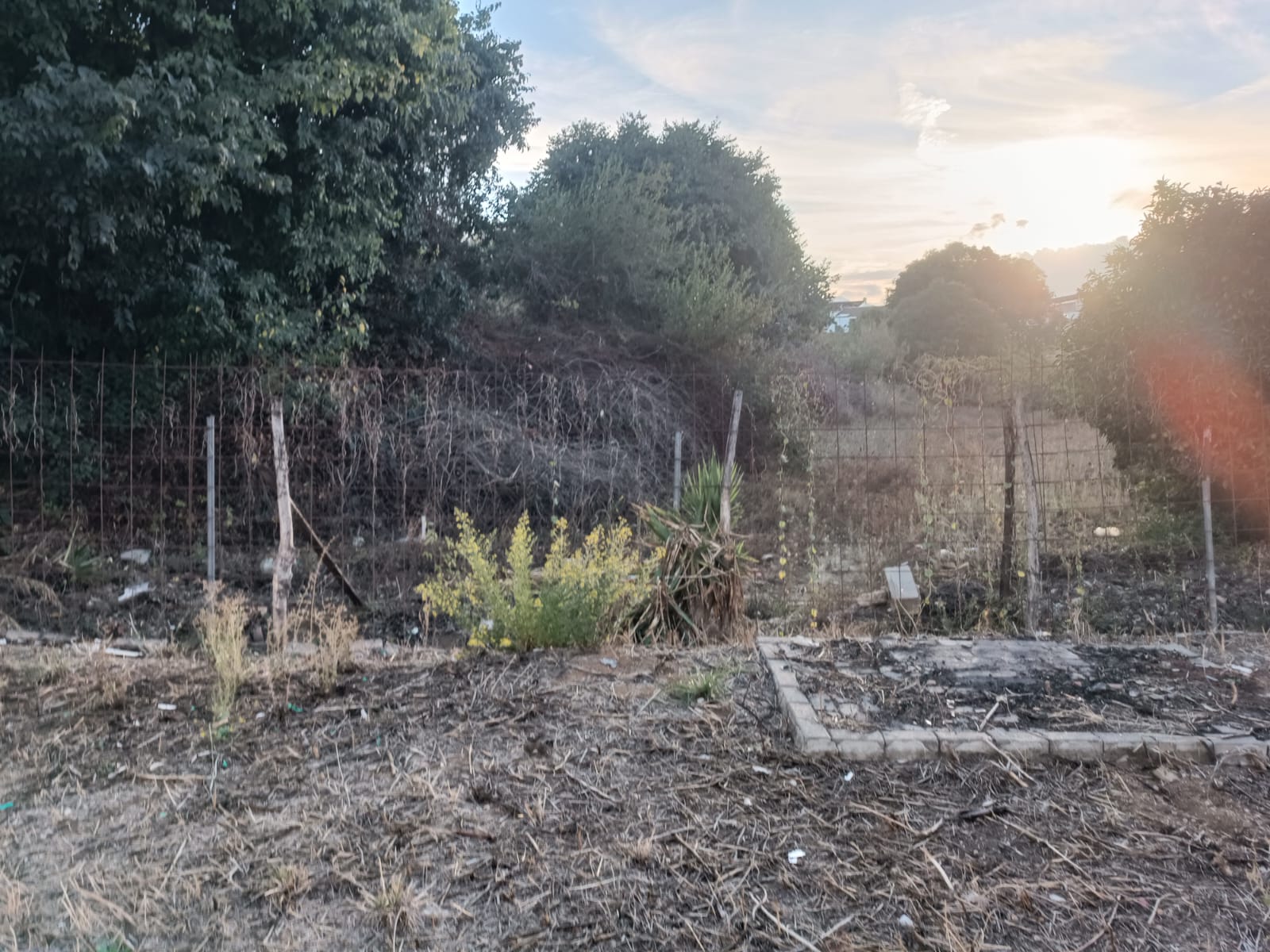 5_e30657f6-5d15-4d92-a955-a0bec1c9e10f