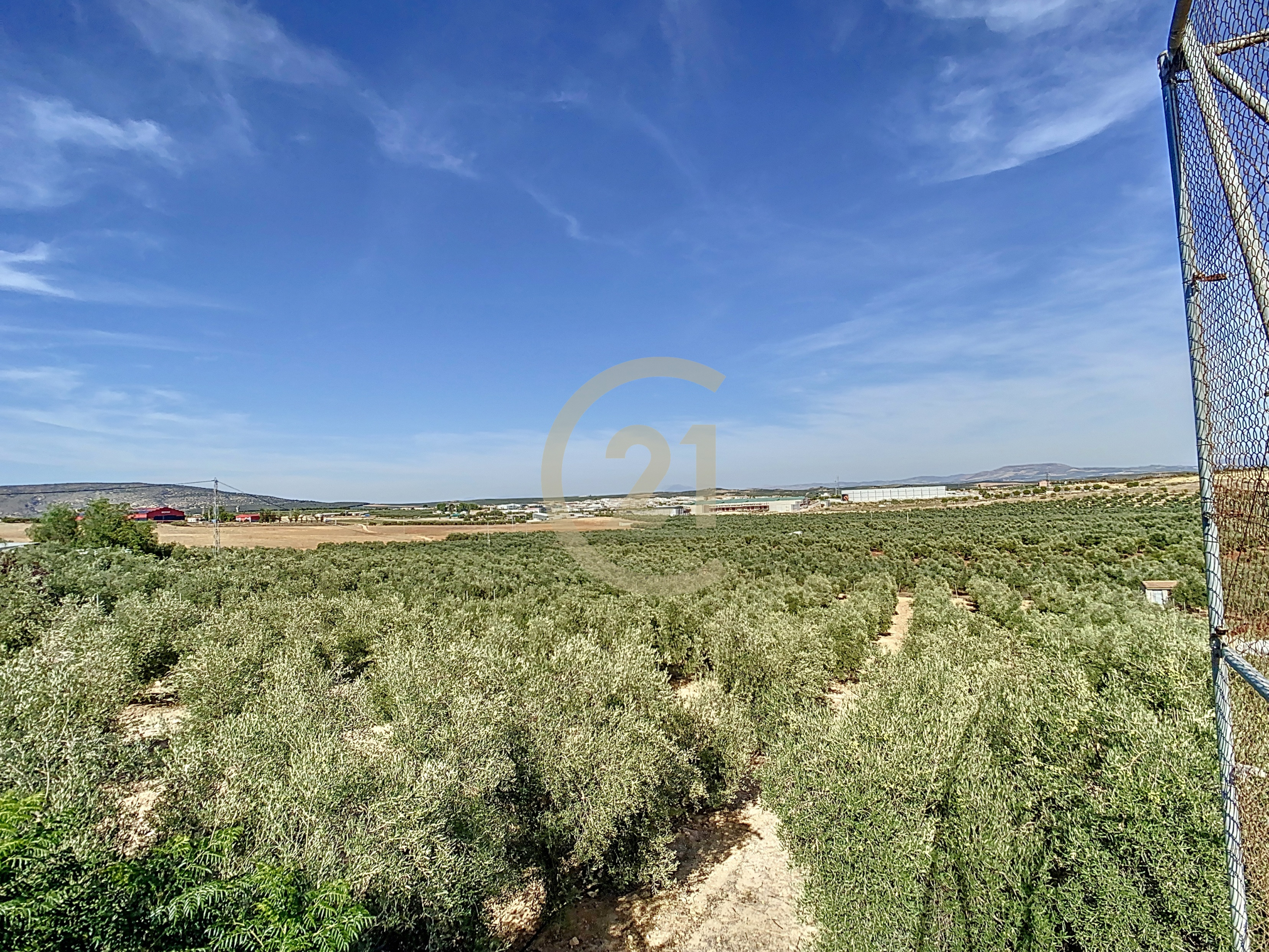 6_805e01e1-5eb3-41bc-93b2-13167d528dad