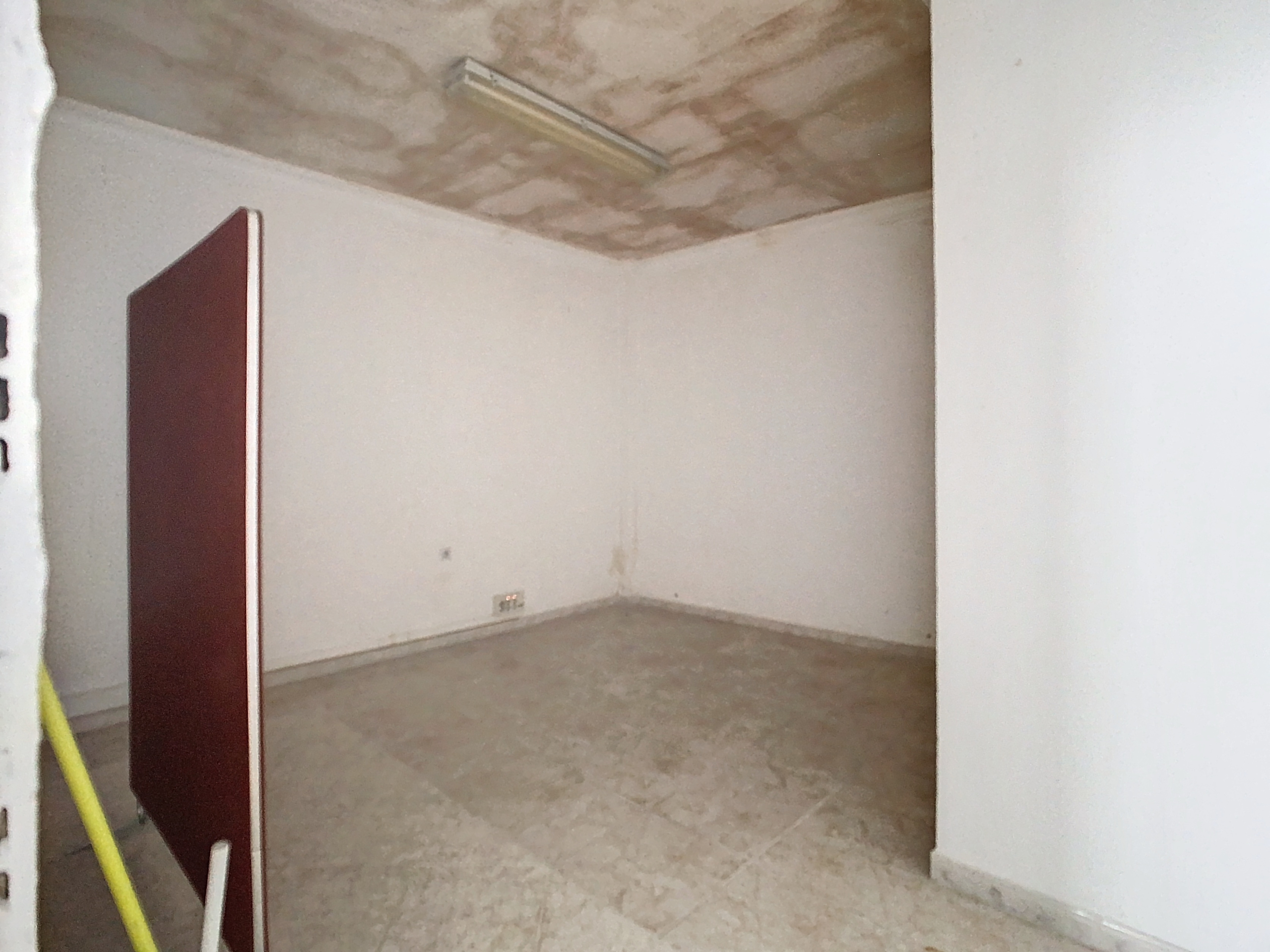 7_1437f250-c332-4e65-ae80-a8ba211fa55a