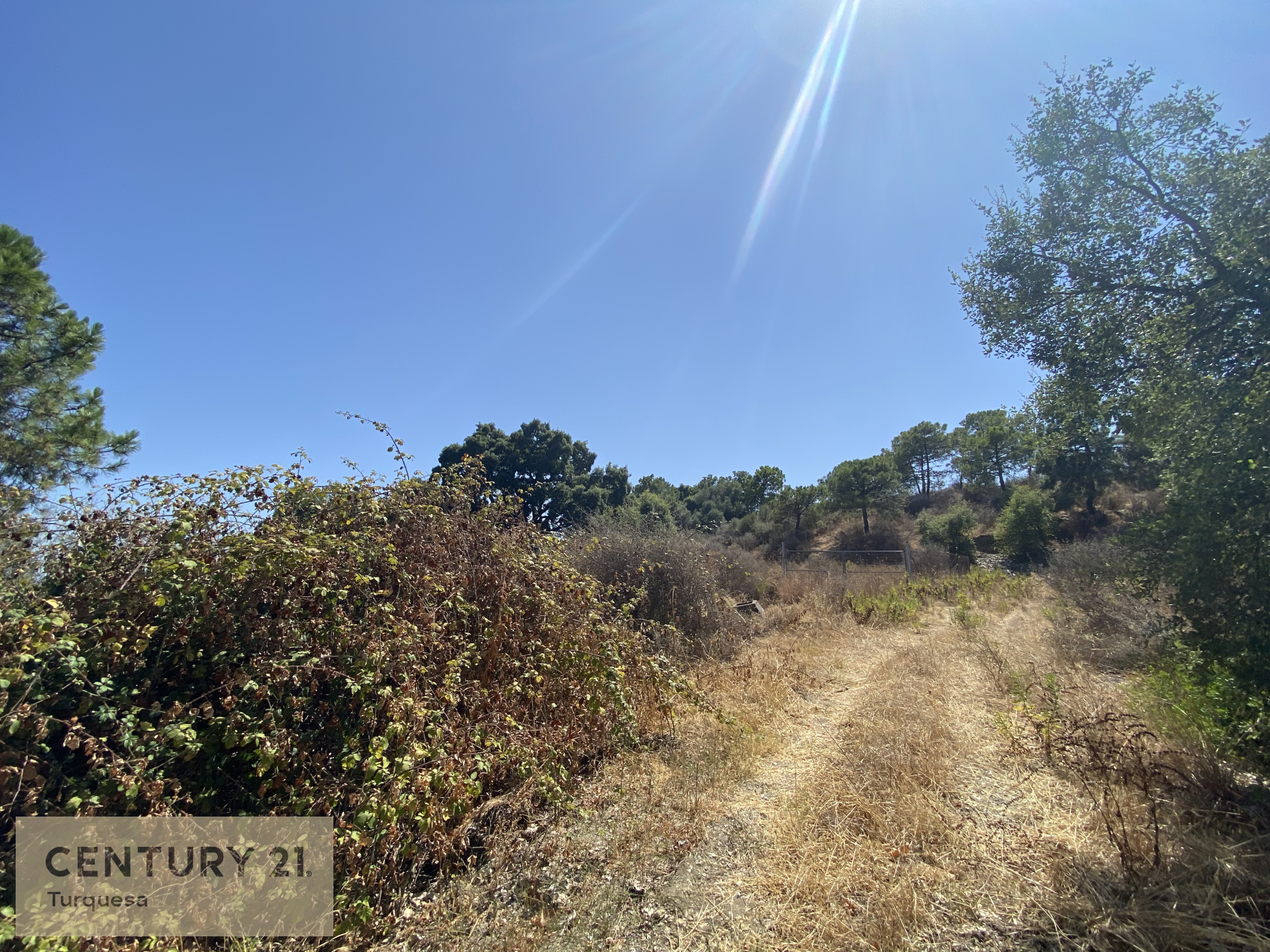 80ff8-img-b97cf-1628005109-731d04a-jpg_6c125199-c839-4b71-b75a-238d16b61109