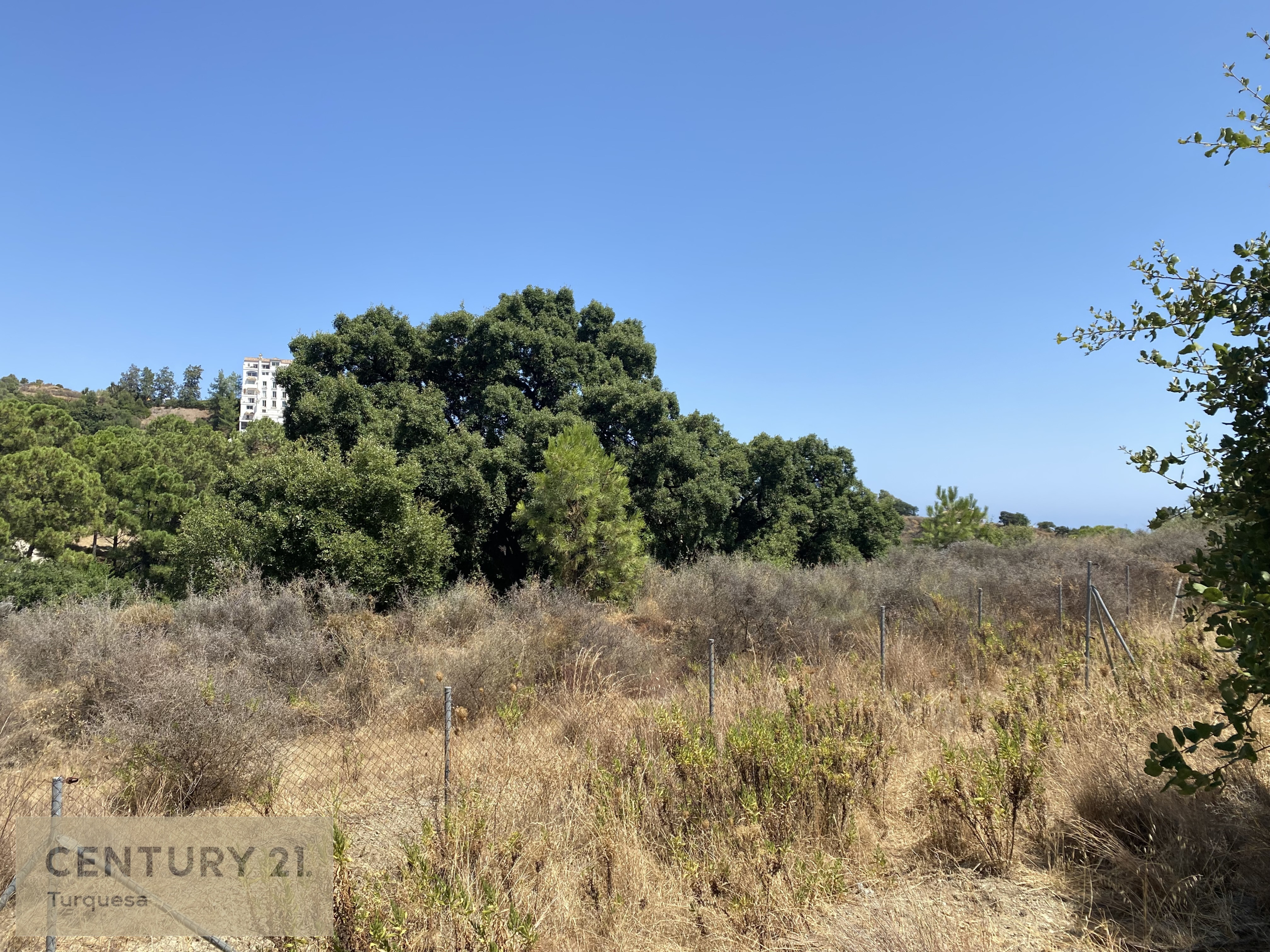 81ceb-img-83c0a-1628005092-46381b8-jpg_1401da90-f61d-4c50-bca1-da5c05dc7e68