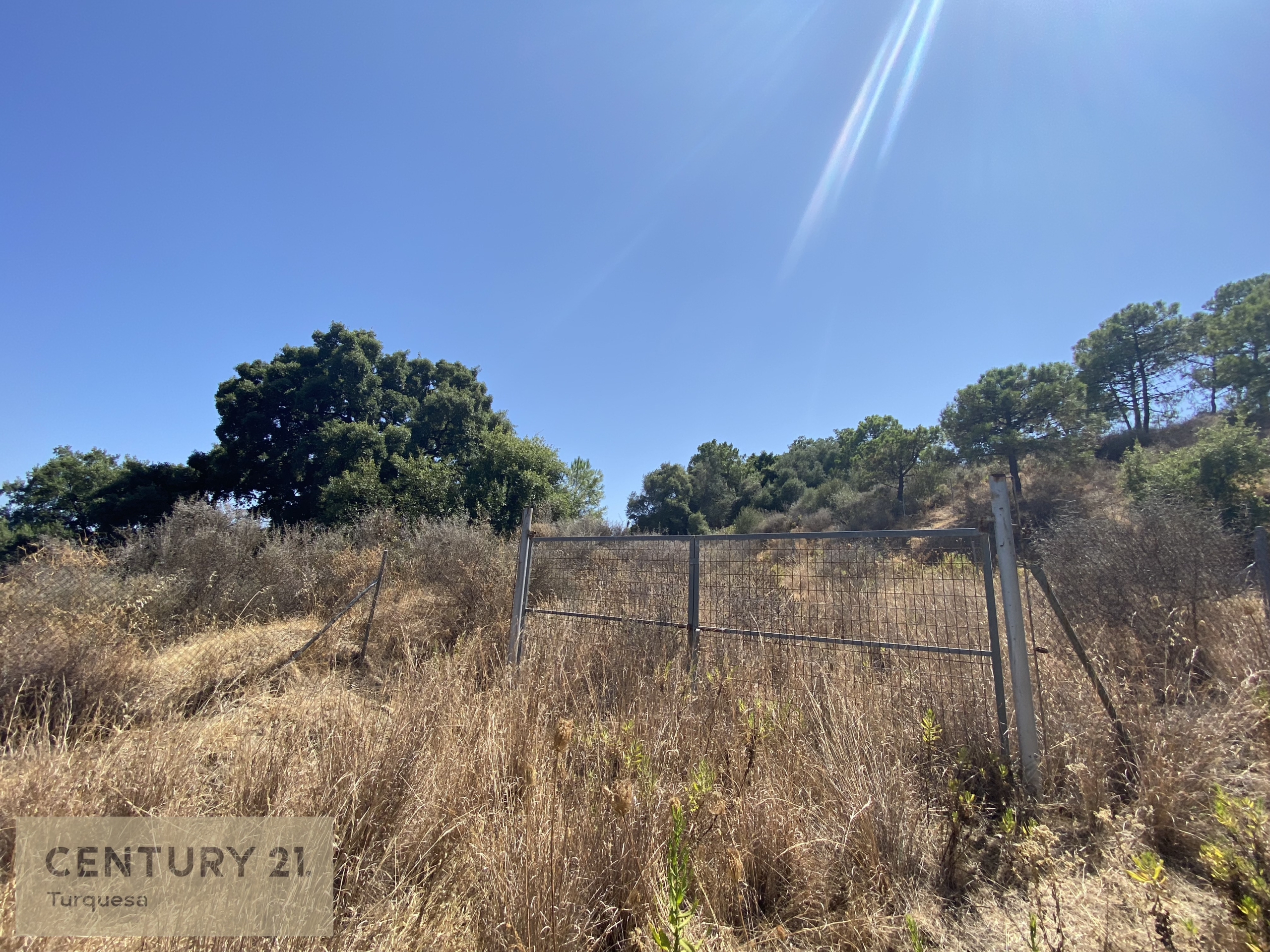 91da3-img-67d9a-1628005101-786c922-jpg_36c915c3-3c6c-4d09-afd5-e3360d21d5f0