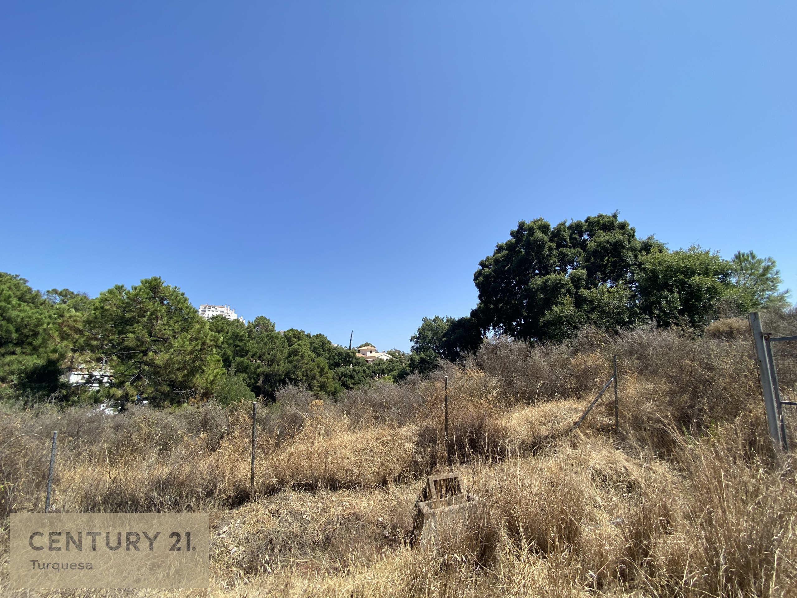 92fb4-img-7167e-1628005105-e6b3599-jpg_cbcb45c2-2970-4c7d-b921-c7f0a44f45ac