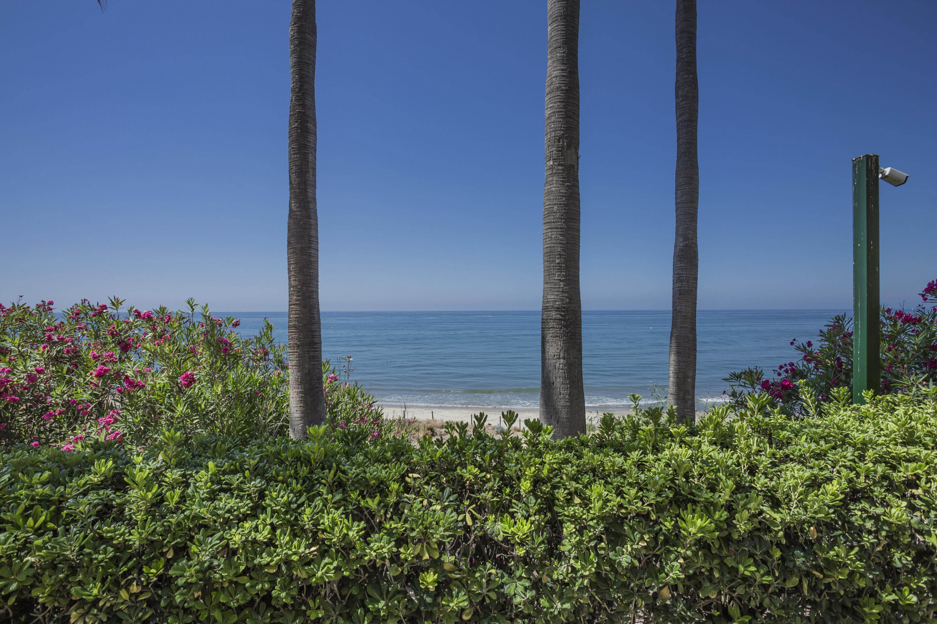 B98Le8_d7M9k3DegpEFZhS0lI_F8U4XZVz_HWxt_mGgYekxX9nCAxh0ZjtE2u9zqepXEUrVLqfm8KeIGW6Gtyd4X_OLwcC0zynYwHMSO5haqu3Kk7HWb1UkTfnX8FGCvbON2zdmcFcHw9Se4bA0_wRsyonyAdZFwQw-