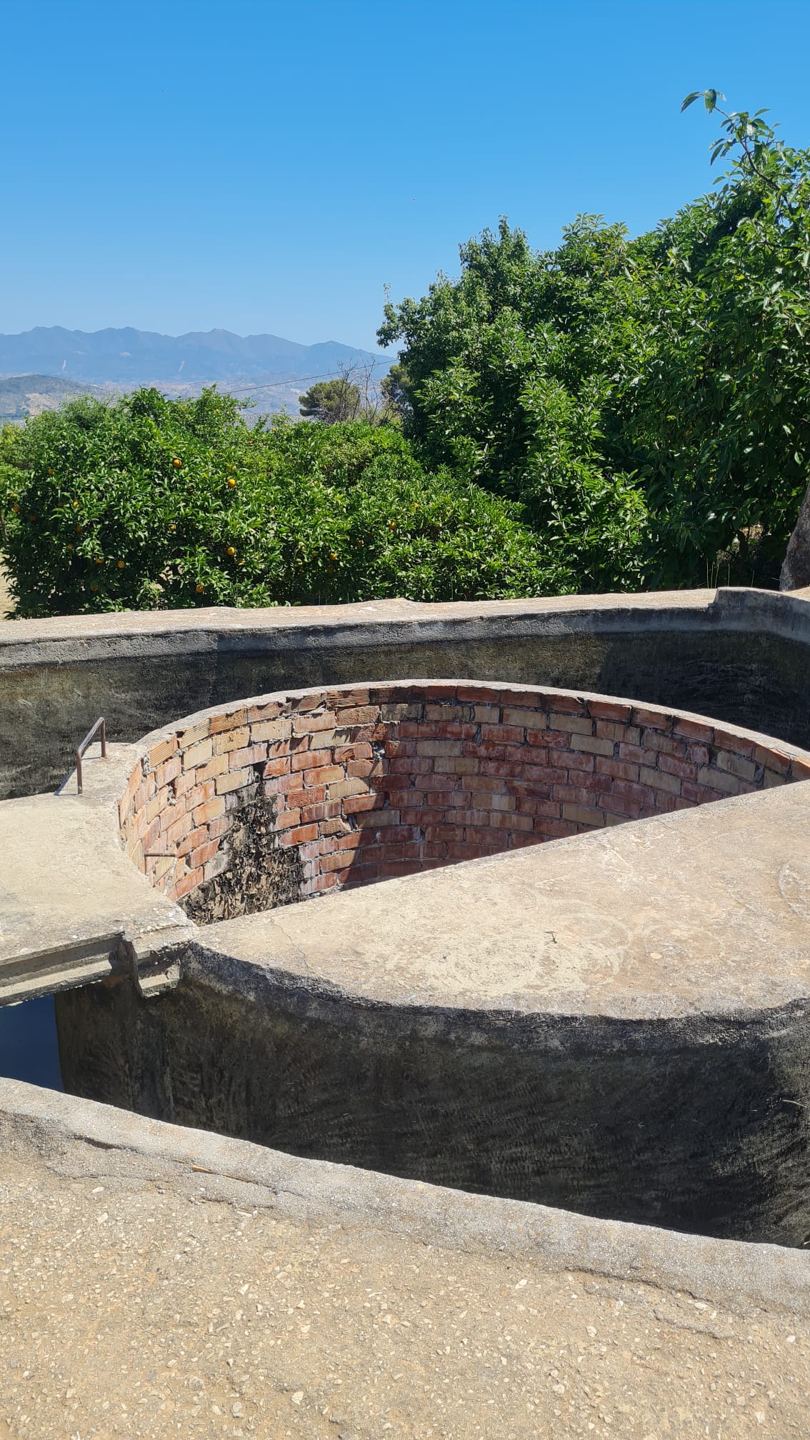 alo-10_b398bae4-9397-4603-be40-647f83202725