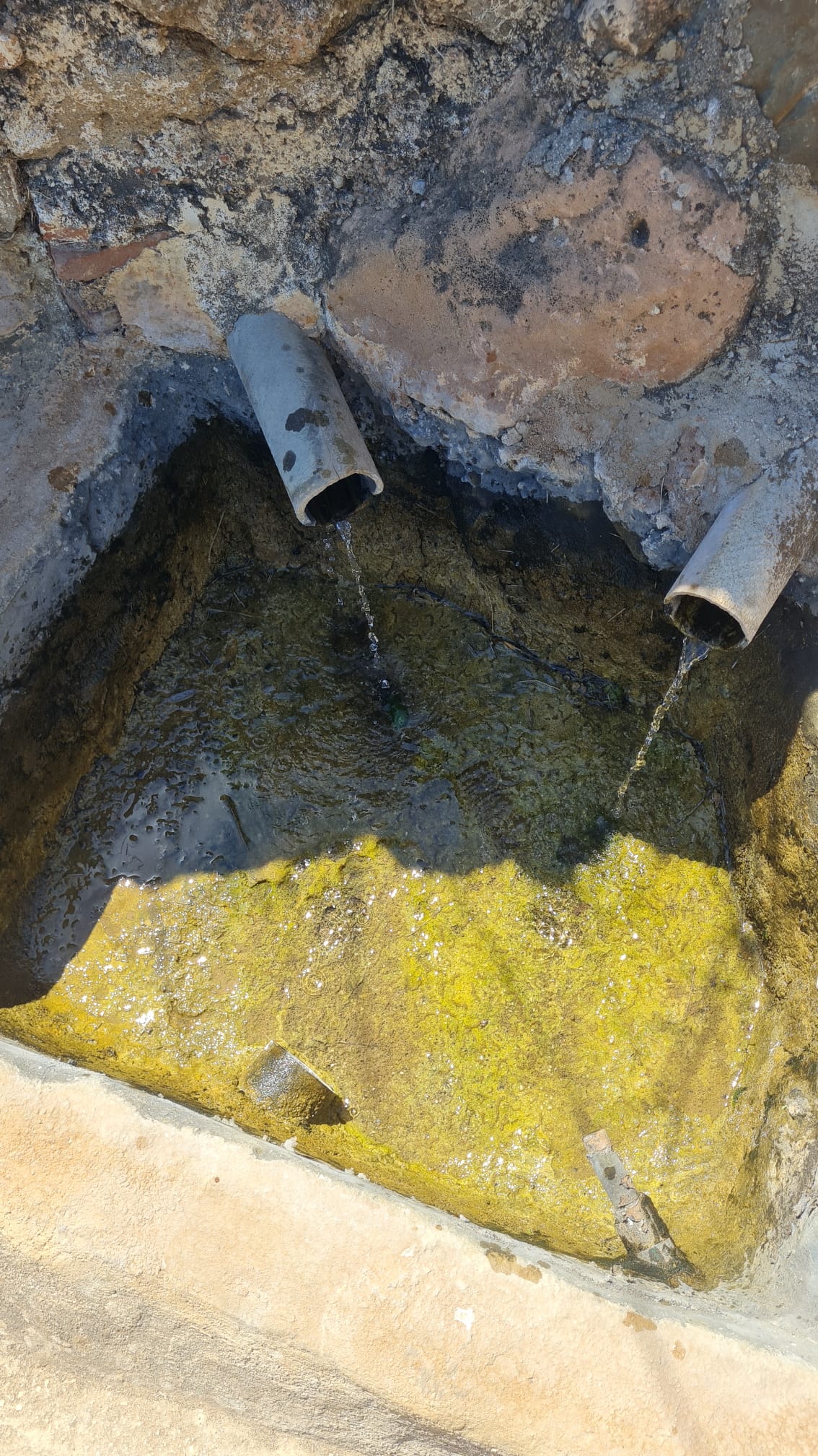 alo-11_353ed911-876c-422d-b852-0cadbcd8561e