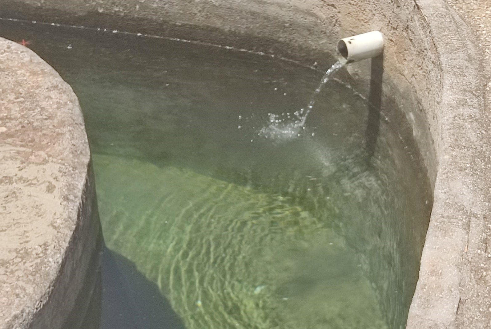 alo-14_3f16de0c-e9dc-4b86-87e5-7ceaaea9eb42