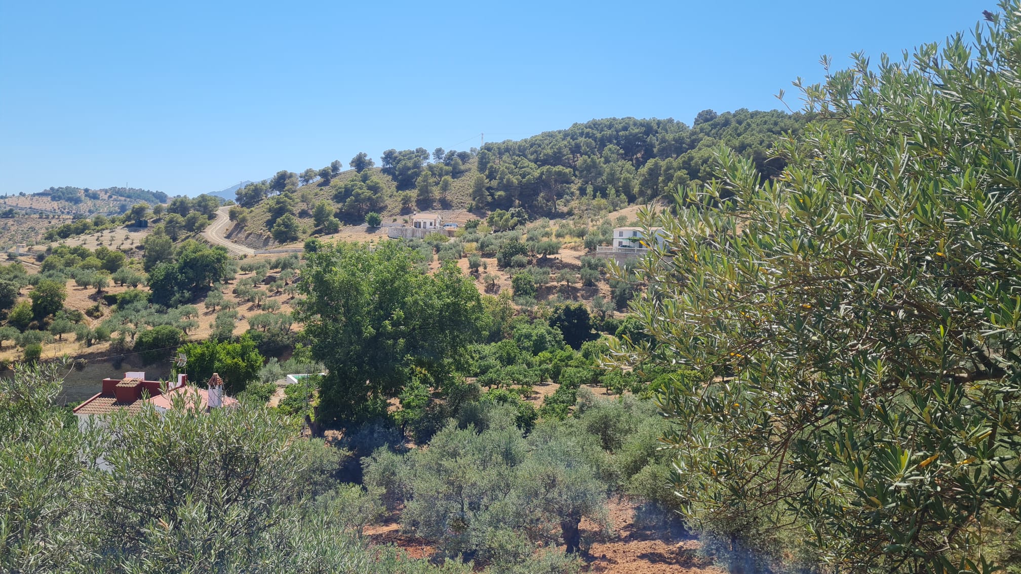 alo-6_a8a6ef8b-8575-4328-a6e5-dc56917f6181