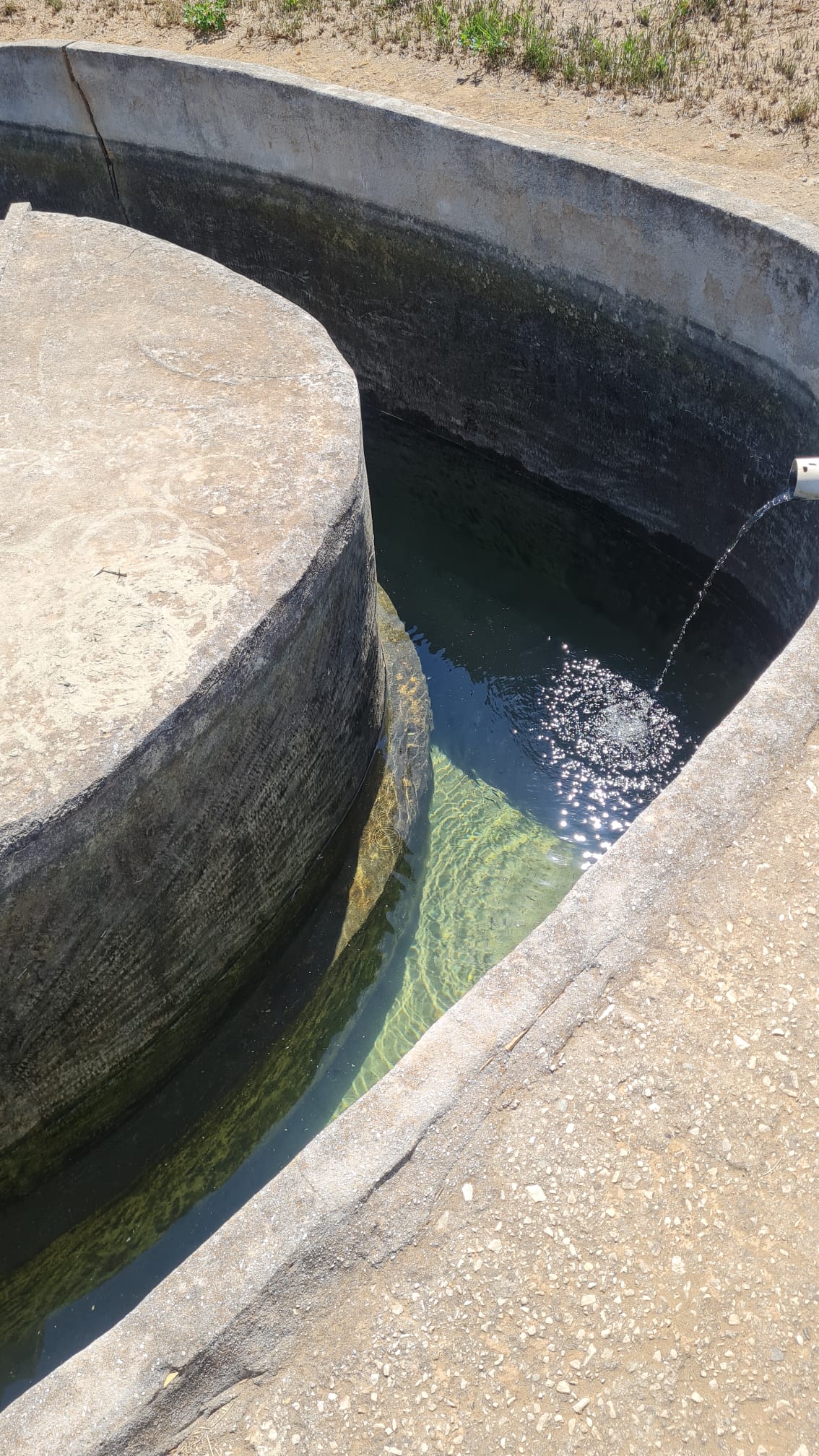 alo-9_3220fe04-1947-406e-90fc-44cbc1587c64