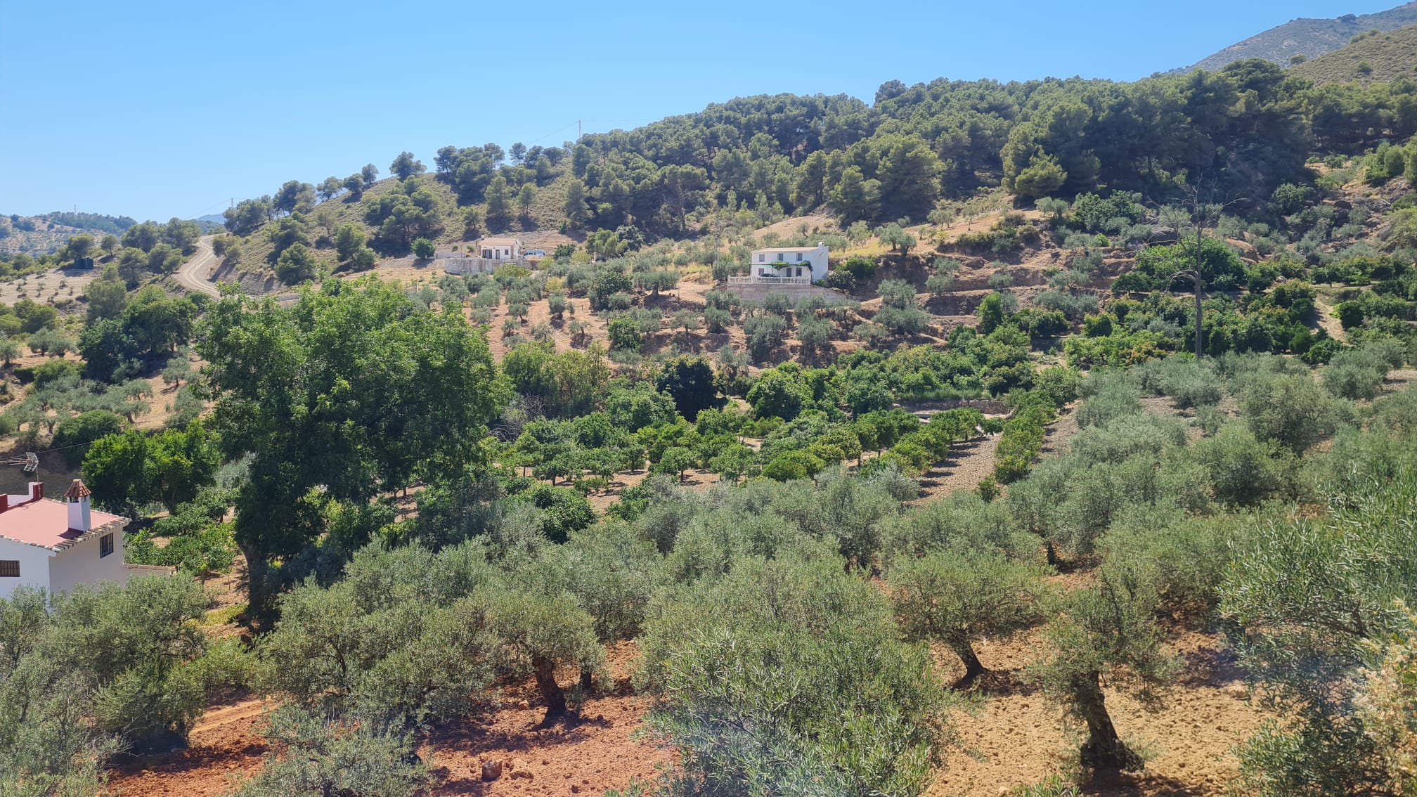 alo8_1e0d9634-098c-4d0a-af5f-19b38ea7095a