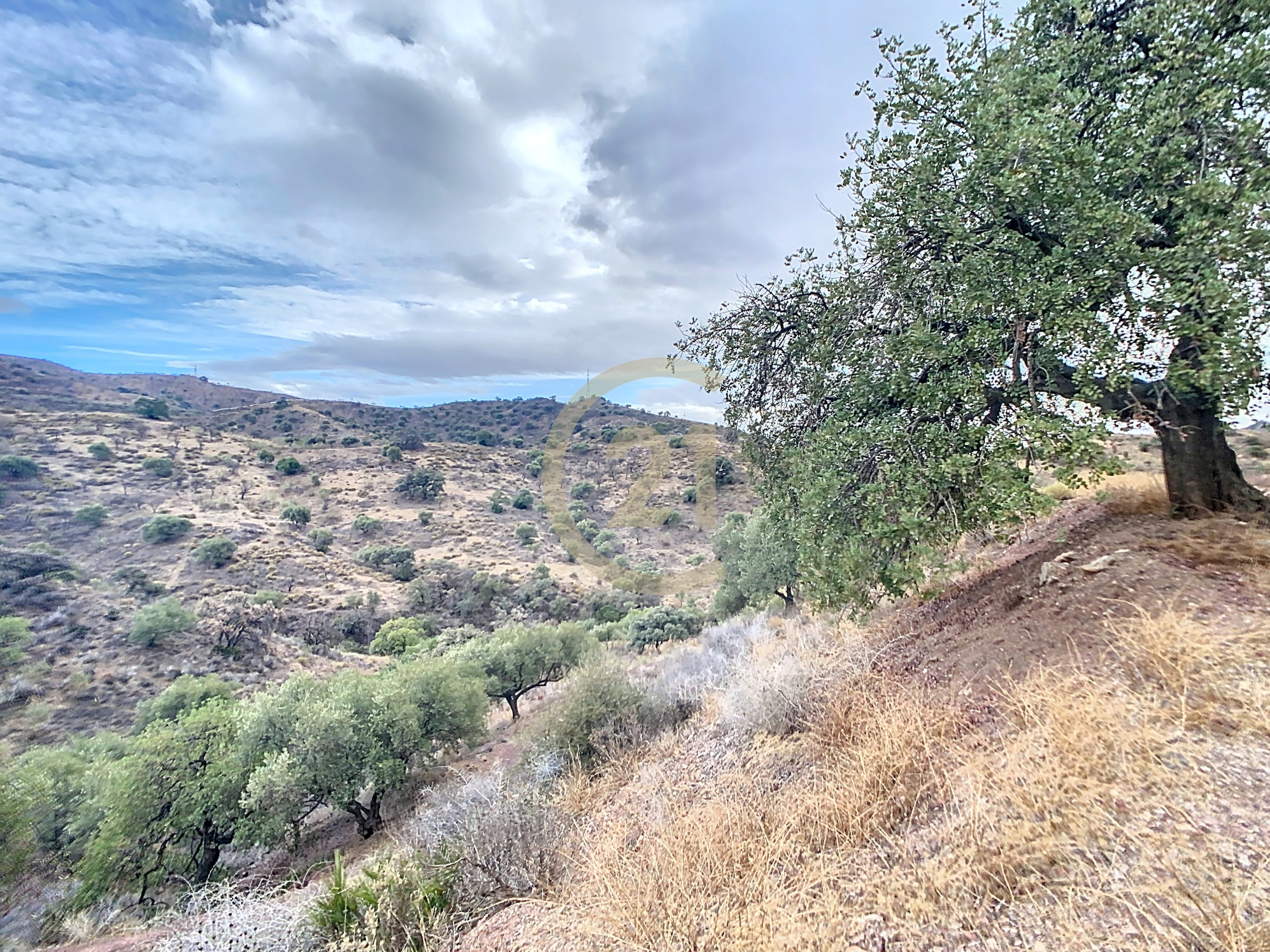 blended-7c11b23d-c1a7-49af-9603-605fda8a6831-ad2889b_b9873dc9-97b6-4bf8-9284-a1558aad8f7c