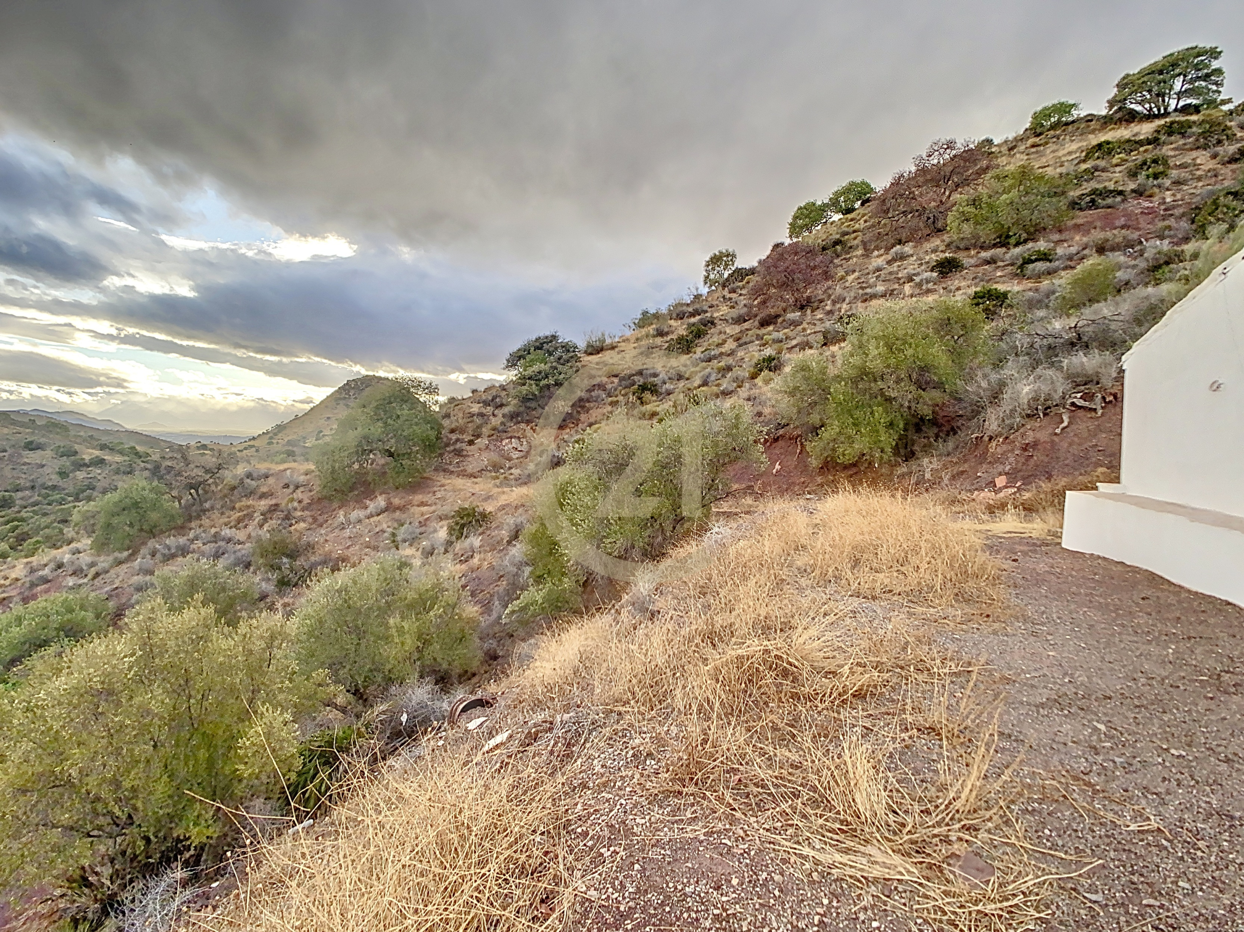 blended-8e4b34ee-51ed-4d16-9c82-1f71363c3030-871aac3_b69c99a1-0dab-4f6f-b61f-fdde2e3ad8ac