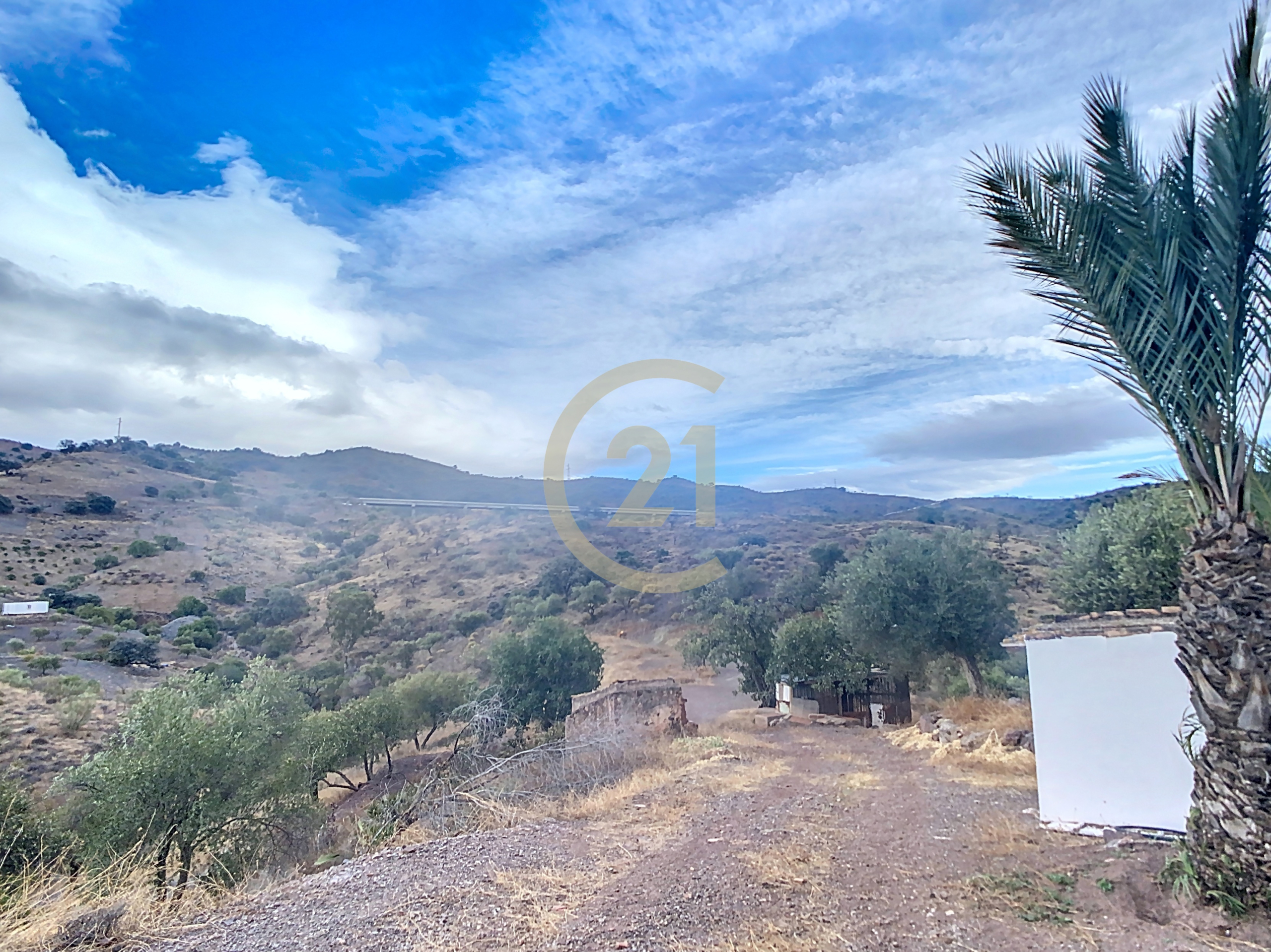 blended-9abb0bb0-8a01-4626-888f-e946f553afa5-96961c6_5ba5852a-8b61-4970-a39f-3237f802d5e6