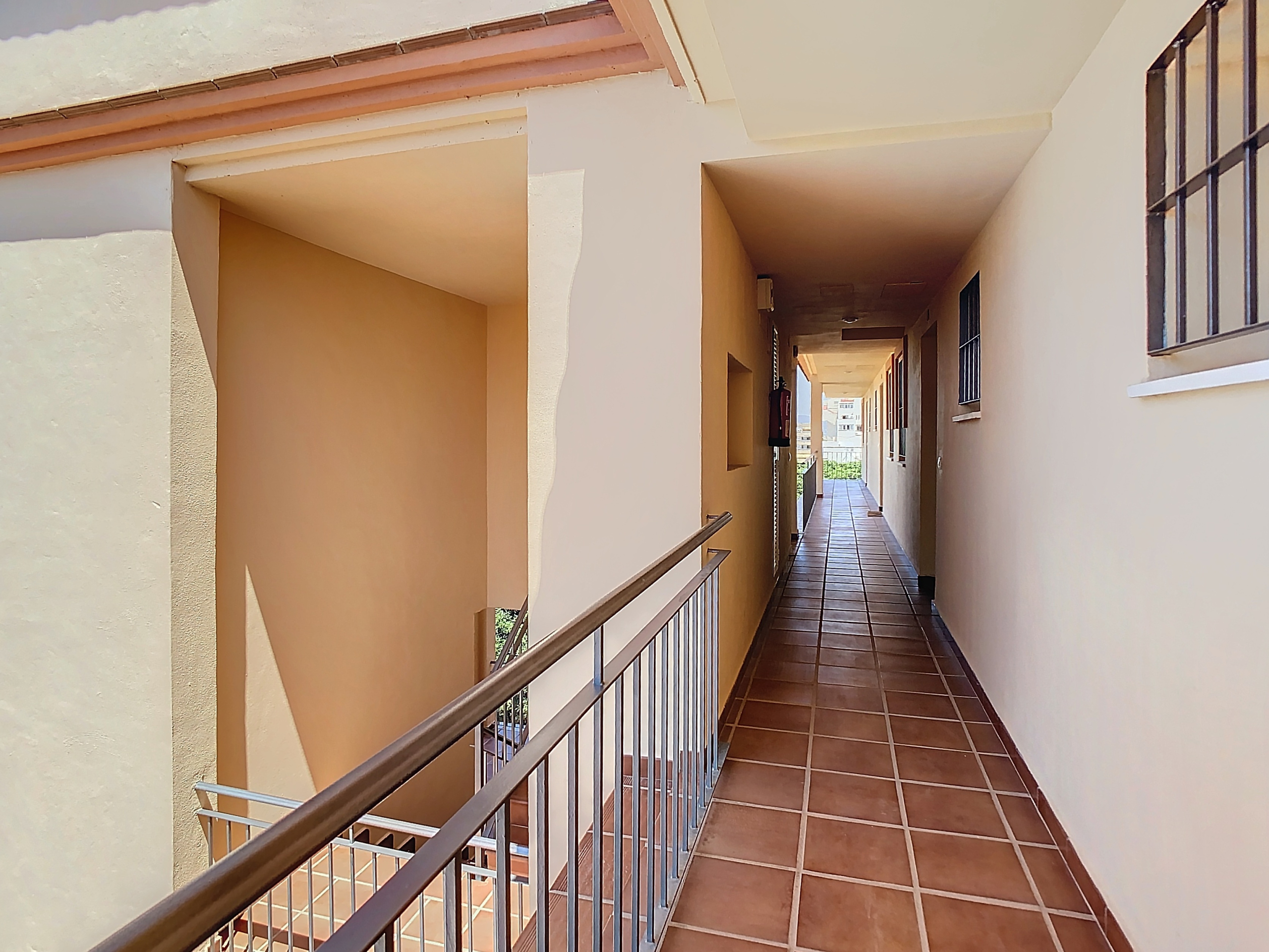 calleaguacate-1722602862-1722603345-03371-c5ef4a6_cec10ec5-f213-4545-8fa3-ee8d6e787ccc