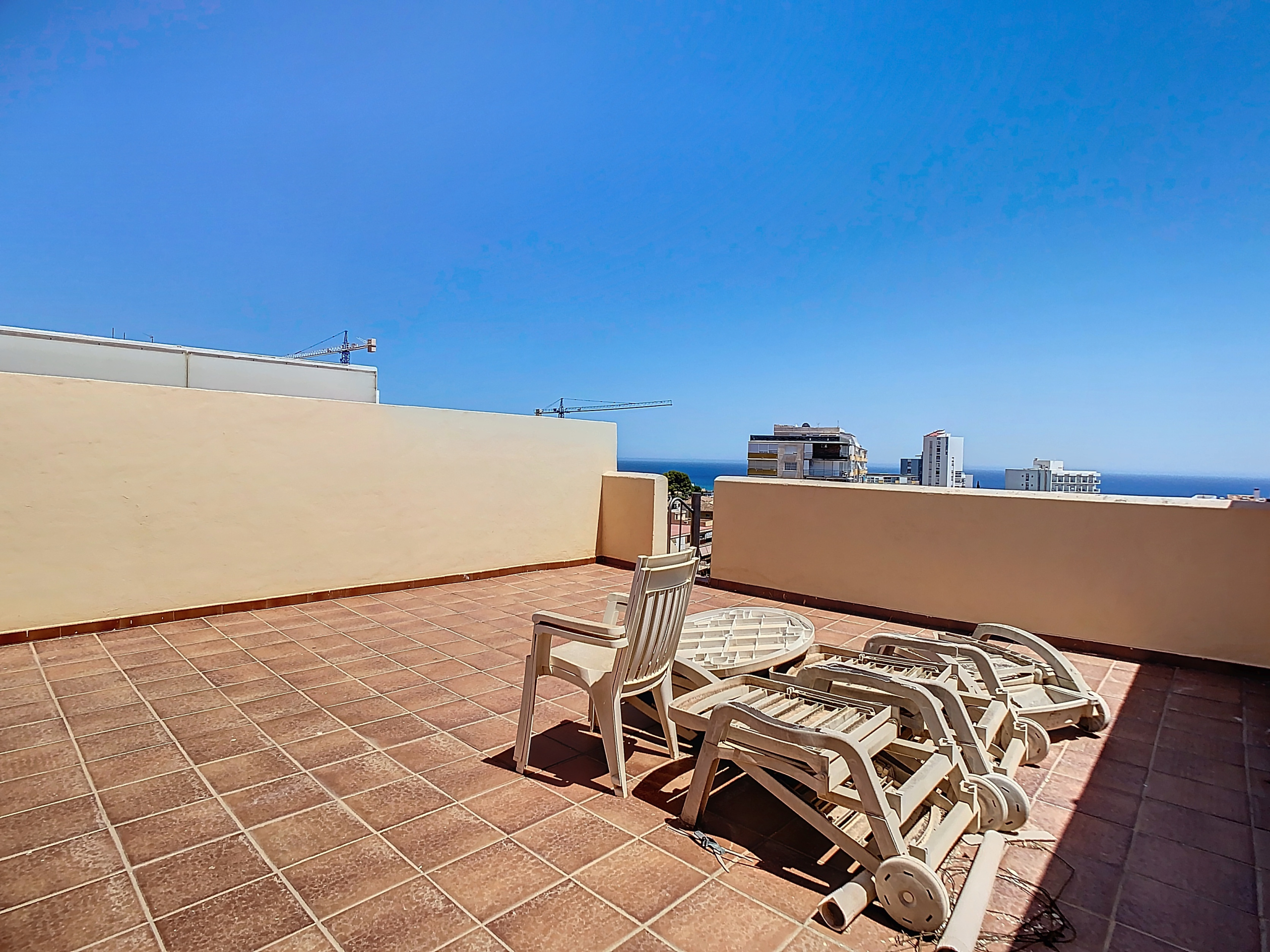 calleaguacate-1722602862-1722604093-04108-8d2f93c_9883728c-0b6c-4ddf-a666-88154b5130fb