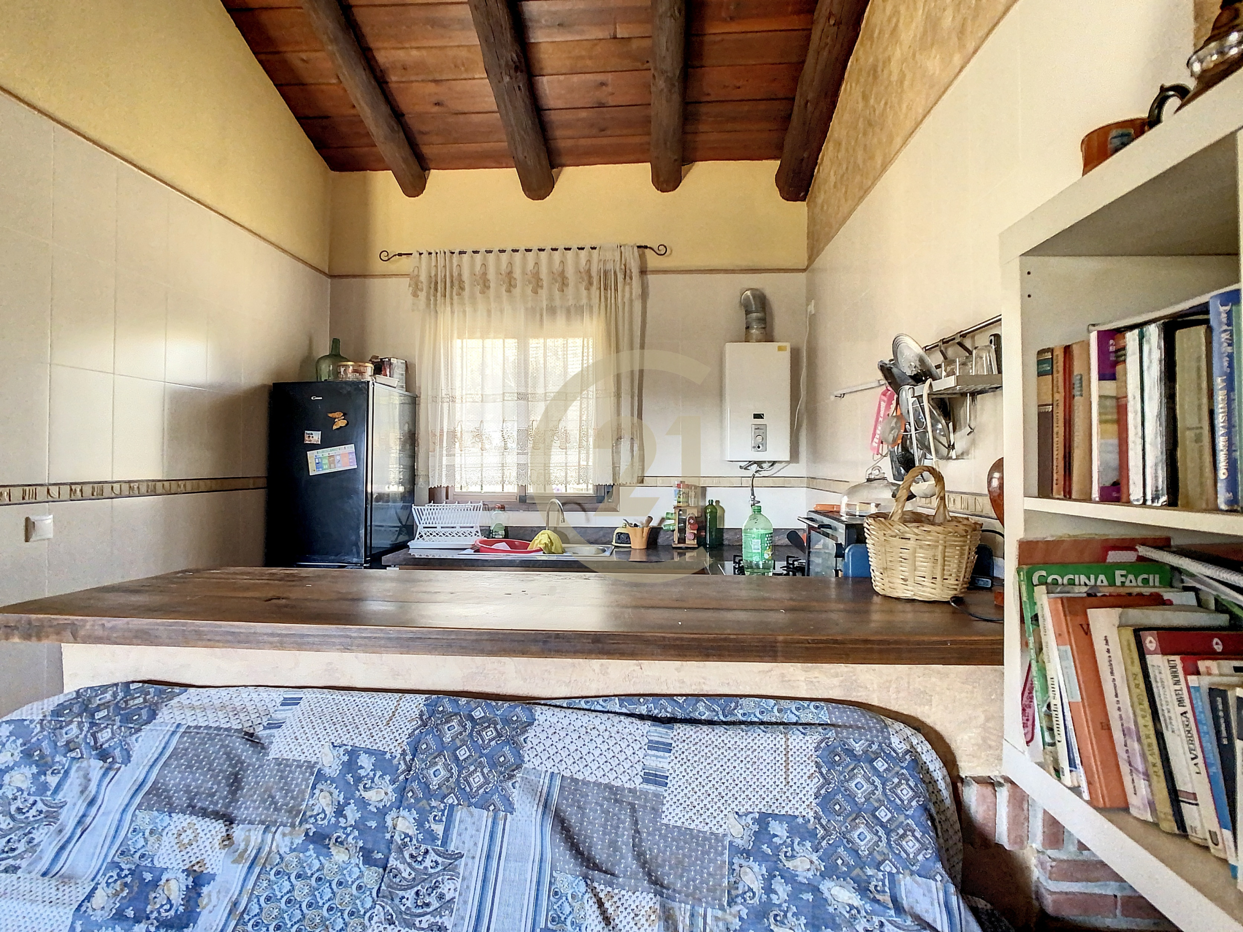 campocasa-1692290787-1692291669-91699-2903a39-jpg_1f685ef7-e0ad-4251-8b5c-875855b446f6