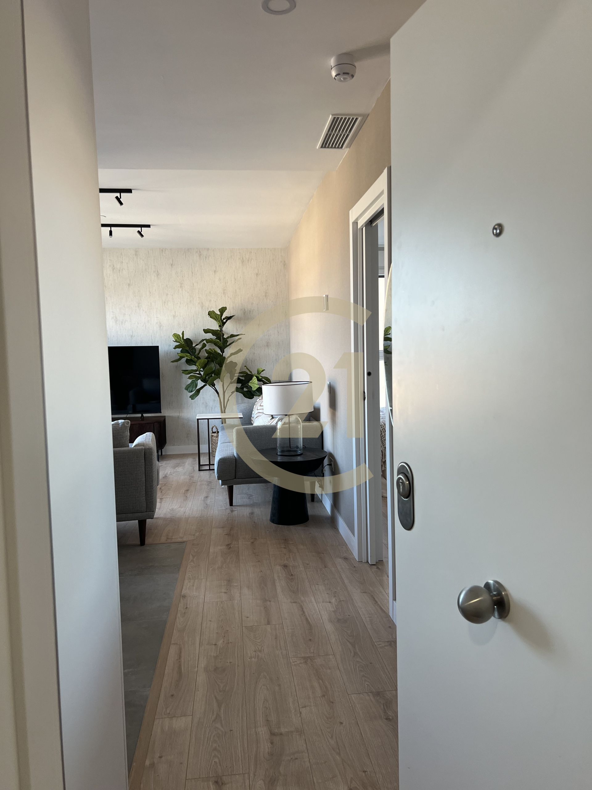 chus-00031-32cf777_6ab2b865-bf0d-42d9-9647-fcb01a3fa08d