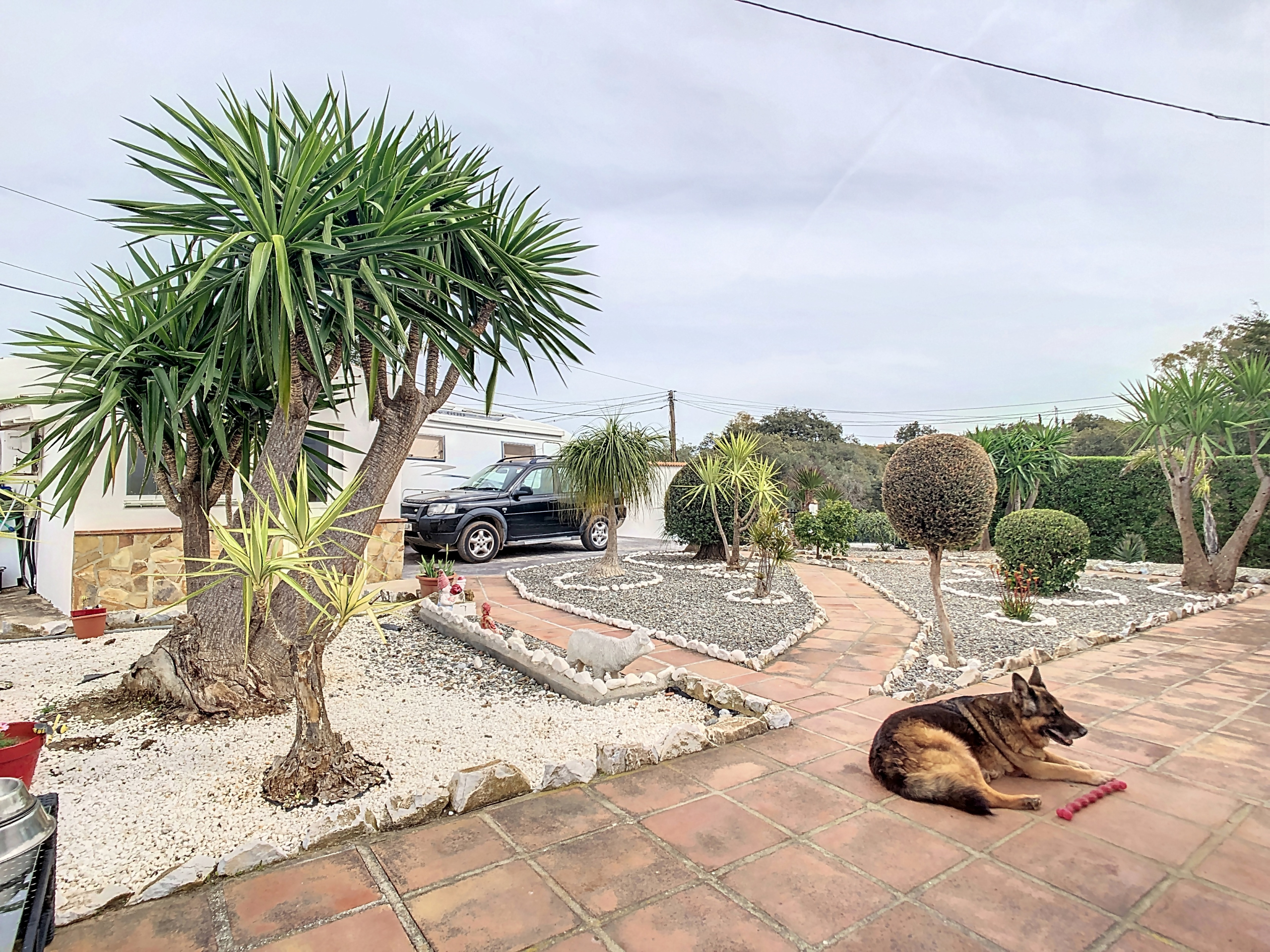 coinfinca-1710279716-1710326684-26697-d8b0055_915084a9-6e63-4079-8d6f-f532feca10b8