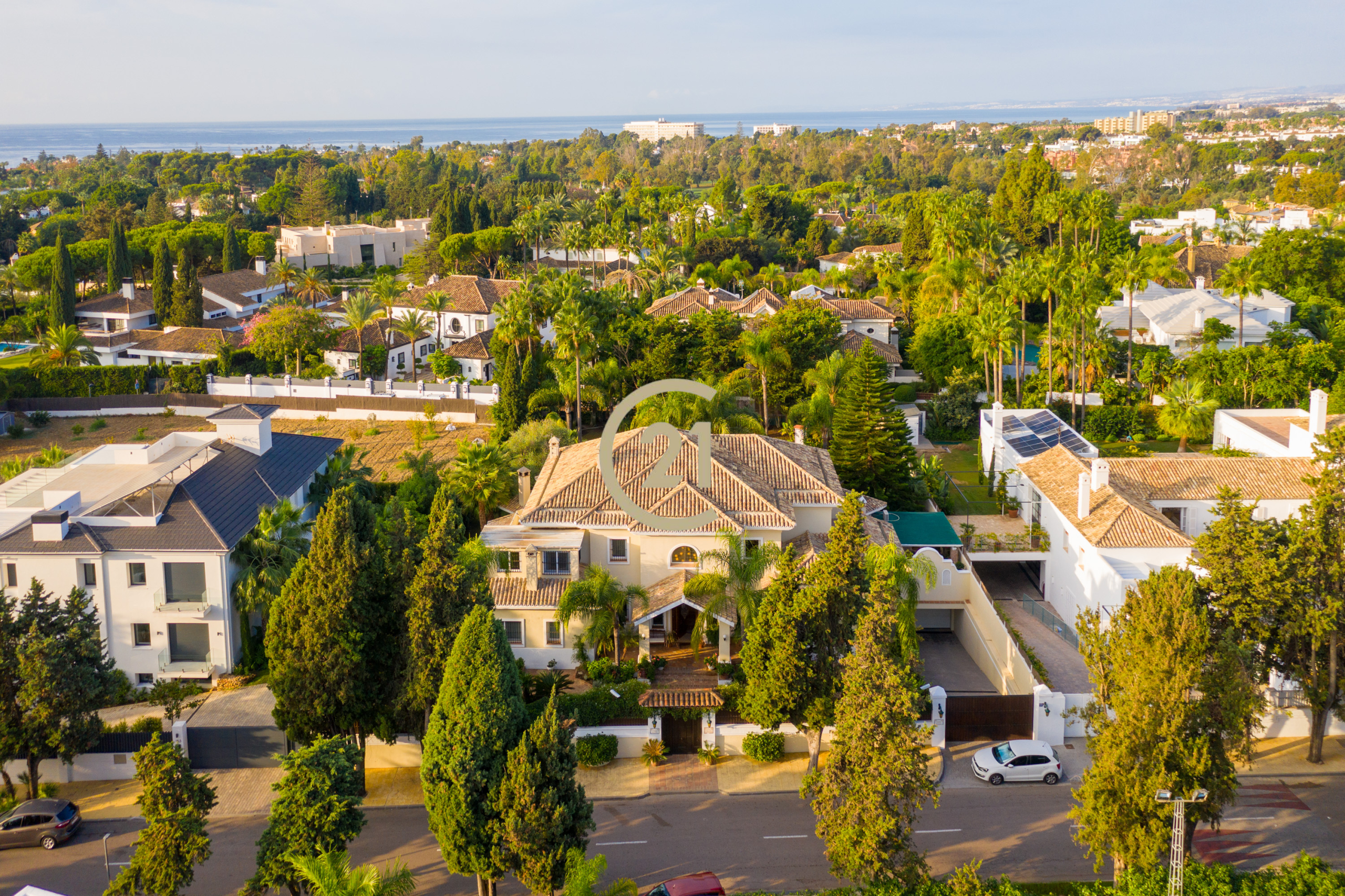 dji-0379_482ba21e-4677-437e-8a6b-9d28ee90d739