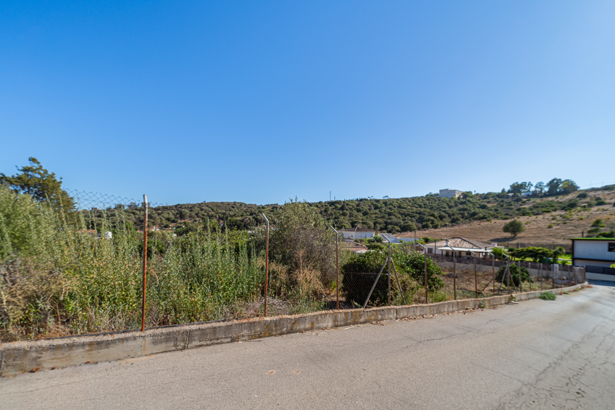 dsc4380-editar_ad045469-7f78-417d-bedc-9184a296830d