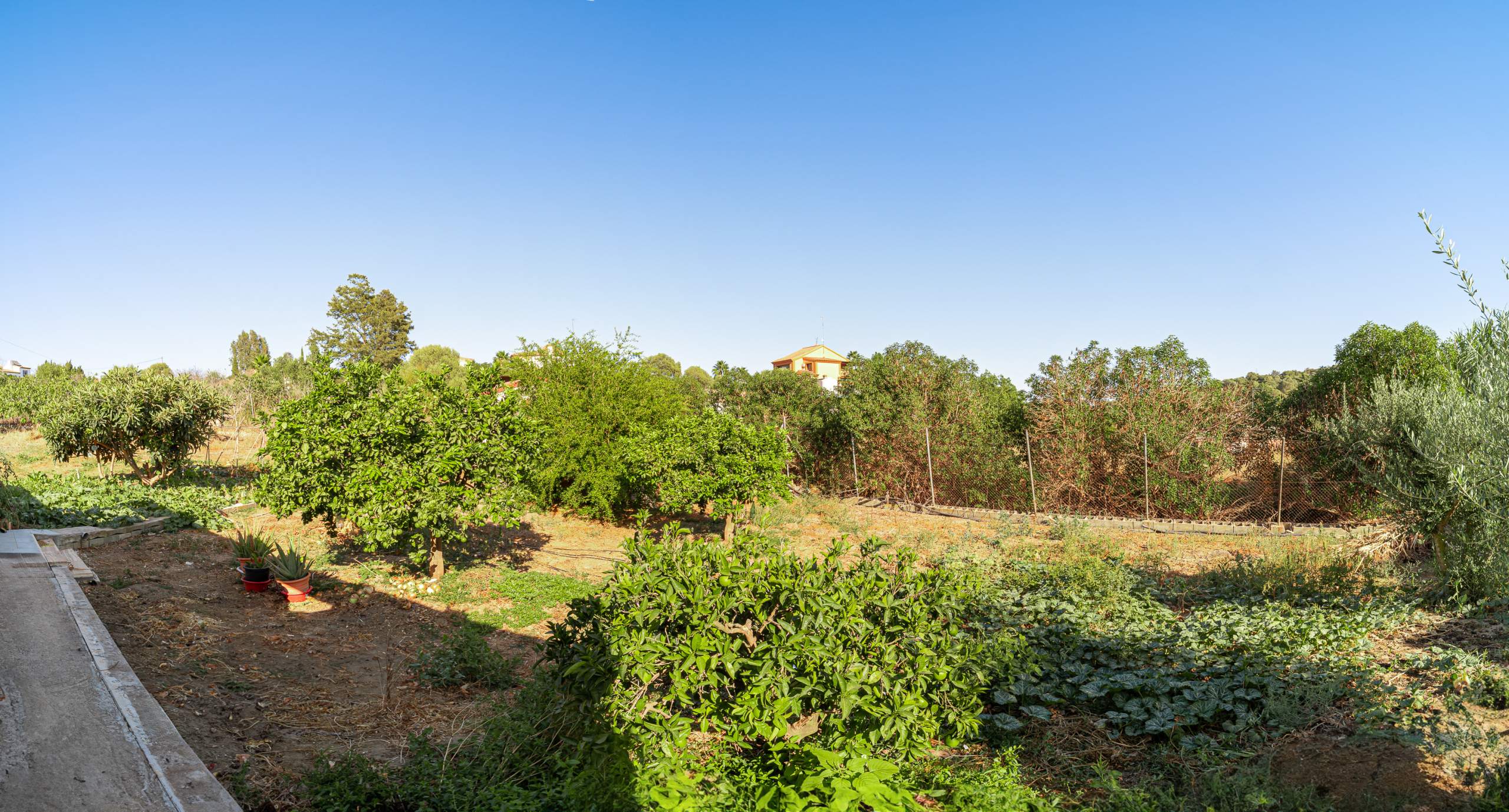 dsc4440-pano-editar_e0f907f9-f883-4d07-8101-af85826899c3