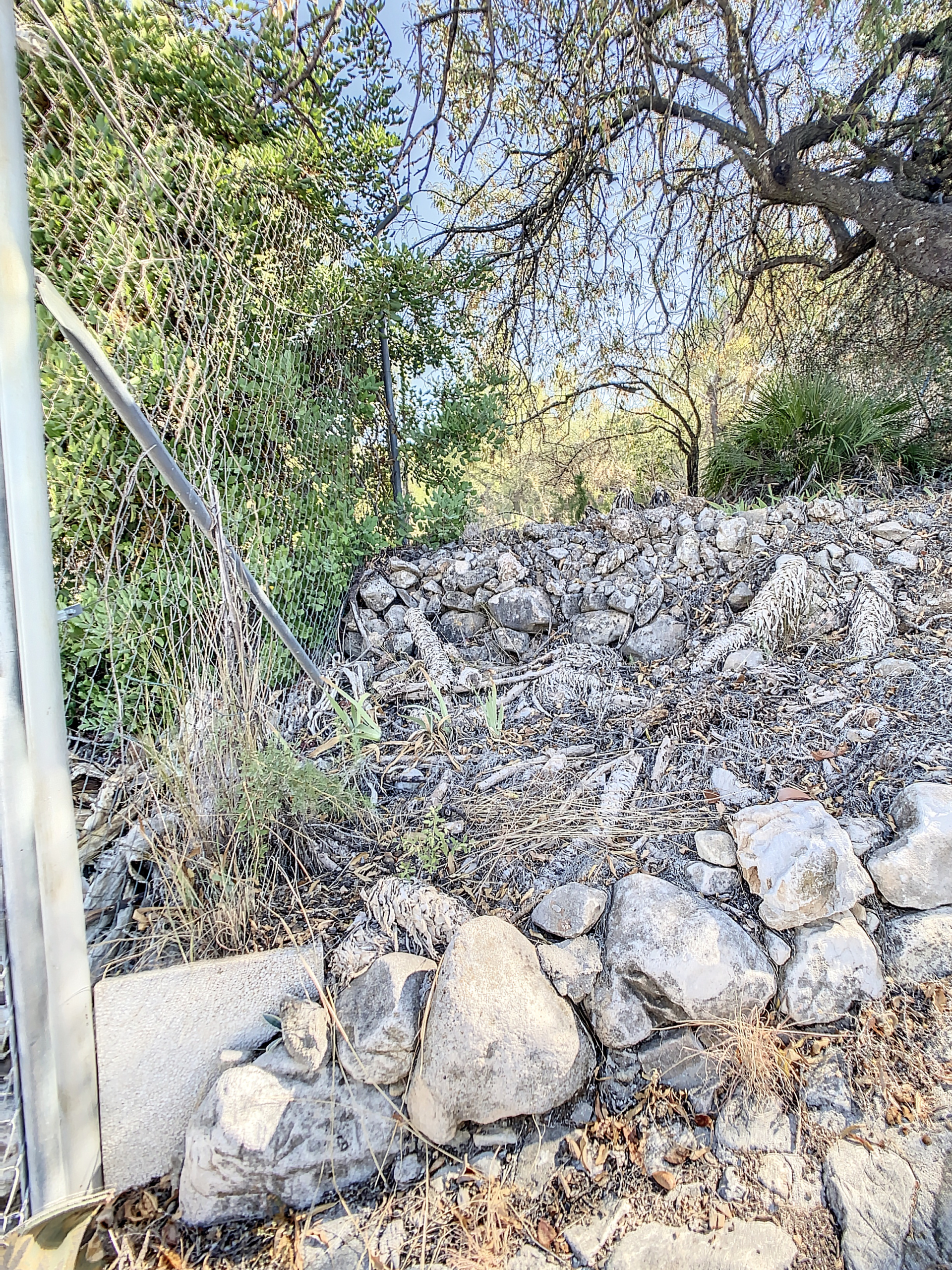 fincaalahurinelgrande-1696067310-1696067566-67587-e1284e0_1b19e138-a4b8-4aec-839f-ea2993aa5470