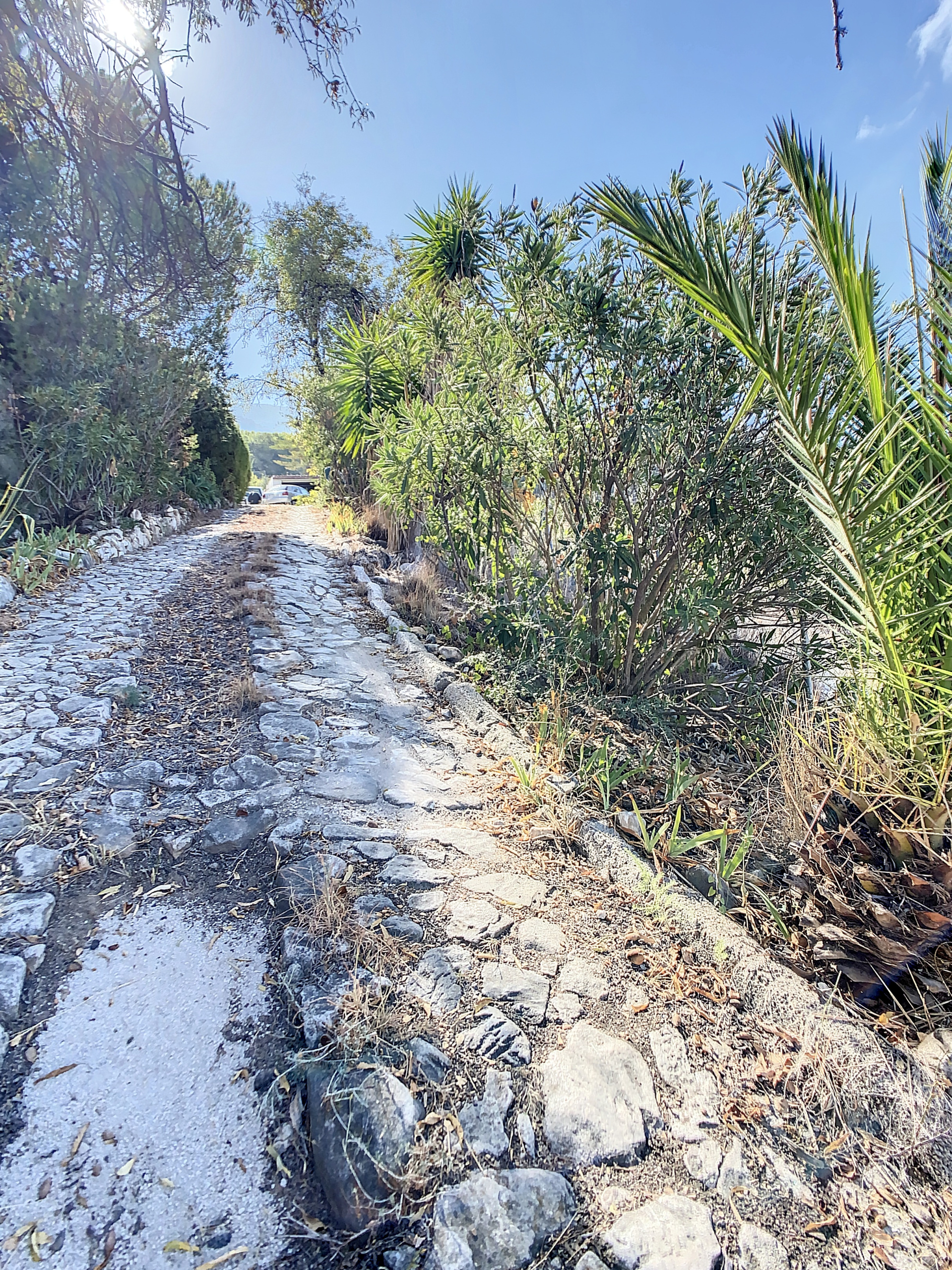 fincaalahurinelgrande-1696067310-1696067604-67661-af00080_696f123e-b4f1-4e7f-a6b0-b9f36eb861ca