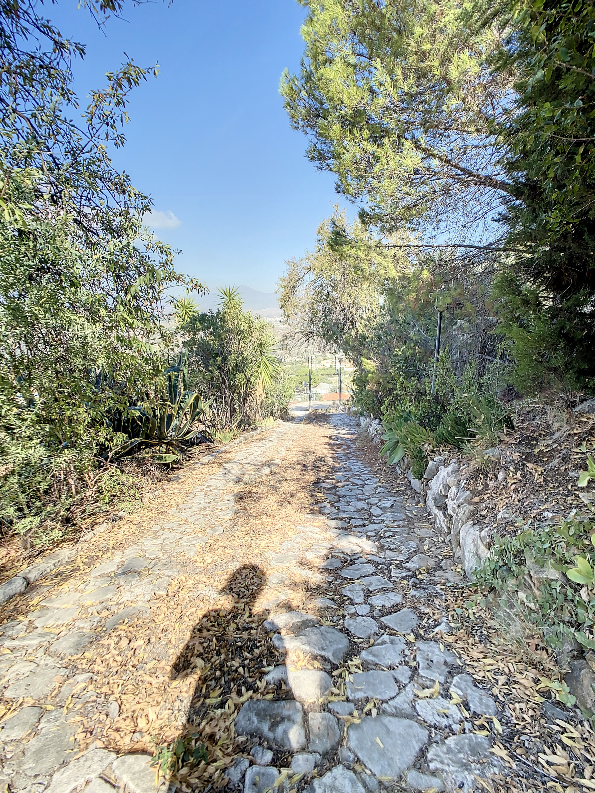 fincaalahurinelgrande-1696067310-1696067662-67696-370a5d9_b7020c96-26de-4f13-af62-92e68760b074