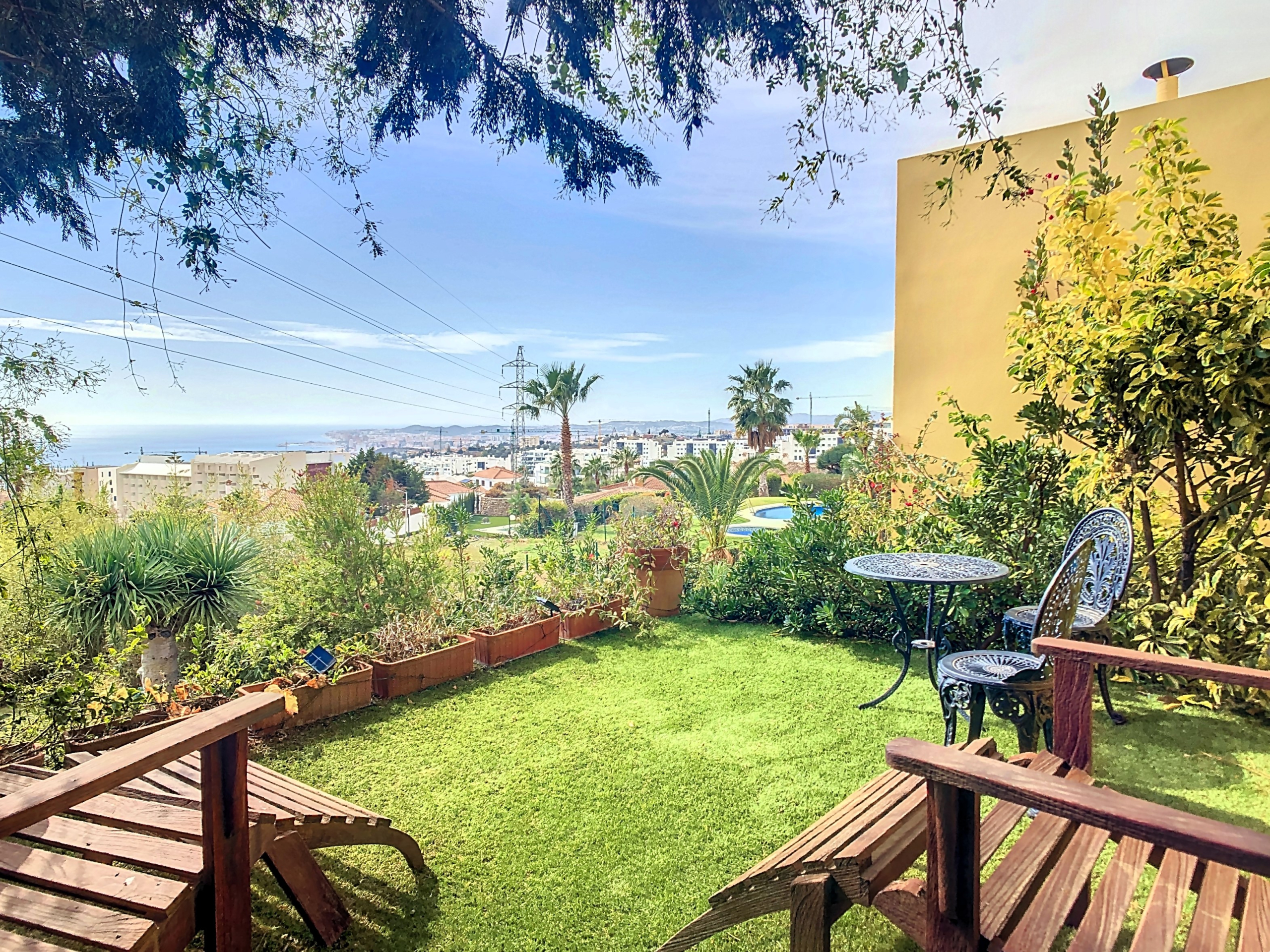 higueron3fjani-1707221481-1707221616-21641-51778d8_4a949c4a-79d4-44ec-8966-1d7a96145ef6