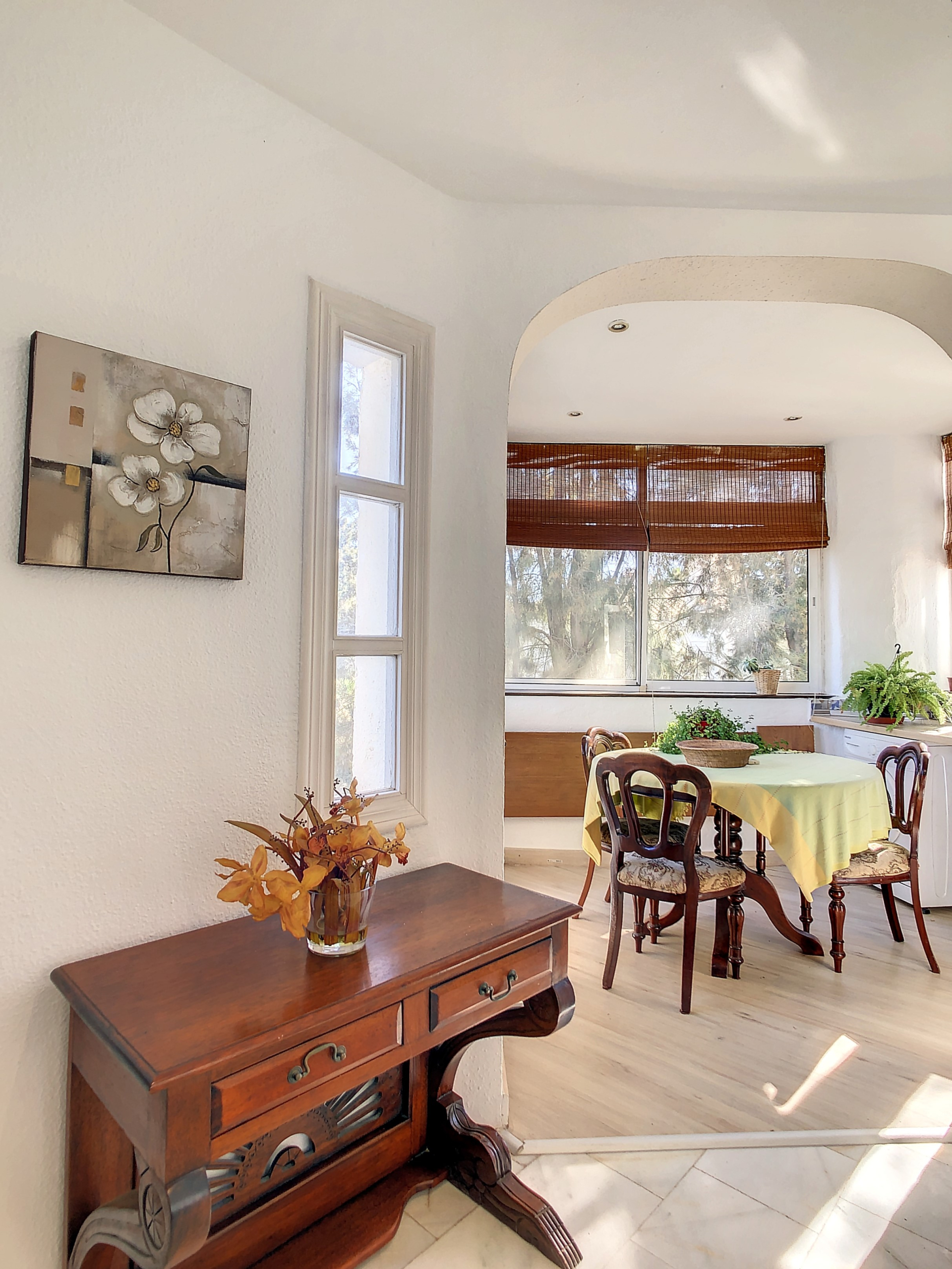 hoyo16flor-1700652773-1700653341-53371-28d0f73_41023919-74e5-4614-b7b9-b72259b6a4ba