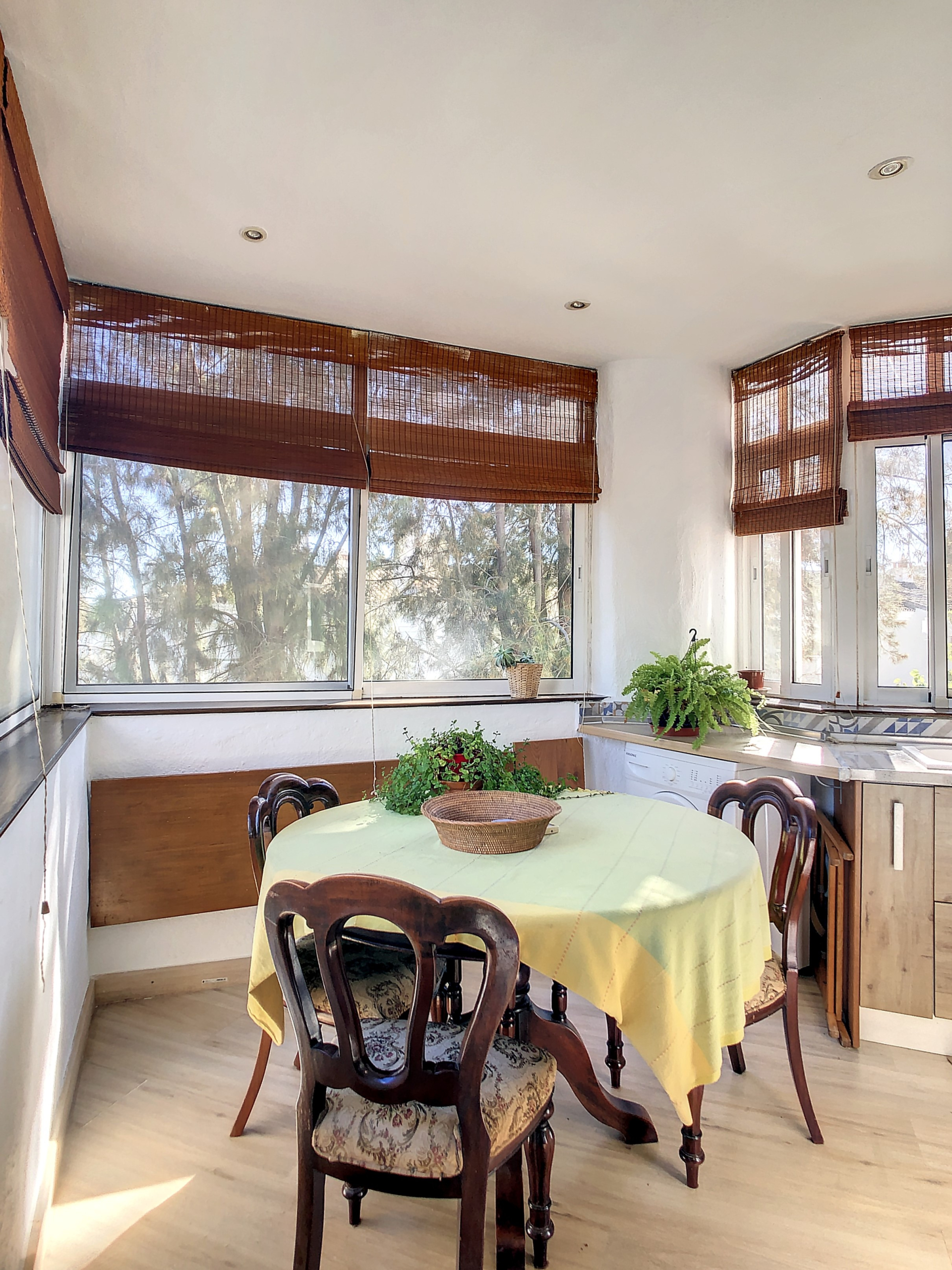 hoyo16flor-1700652773-1700653372-53419-31d9182_4949b7d6-0ad6-4fed-bf73-408849deeb92