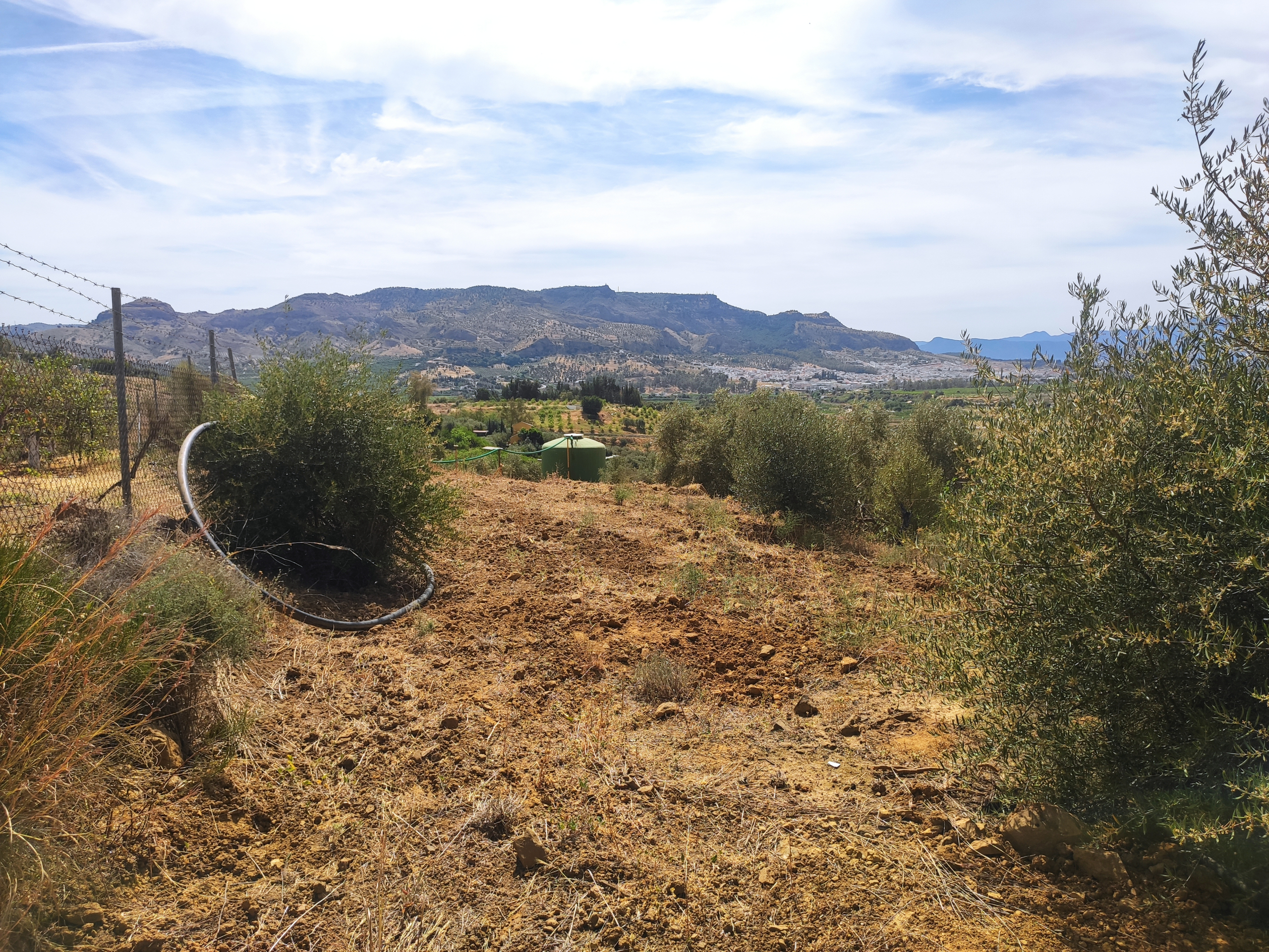 img-20230504-114800-jpg_5d29d686-b036-4a98-b0e9-b693b04bb072