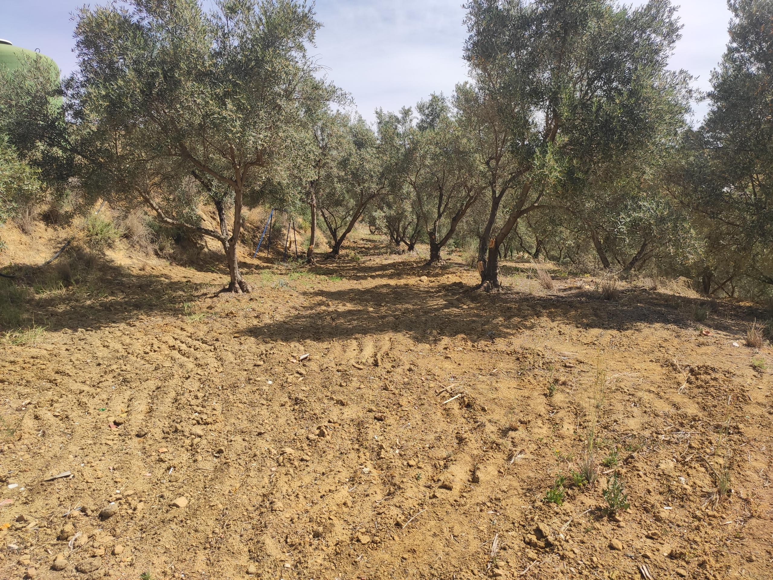 img-20230504-115036-jpg_dd33071d-0c8f-43b3-a259-7e0c1e6821d4