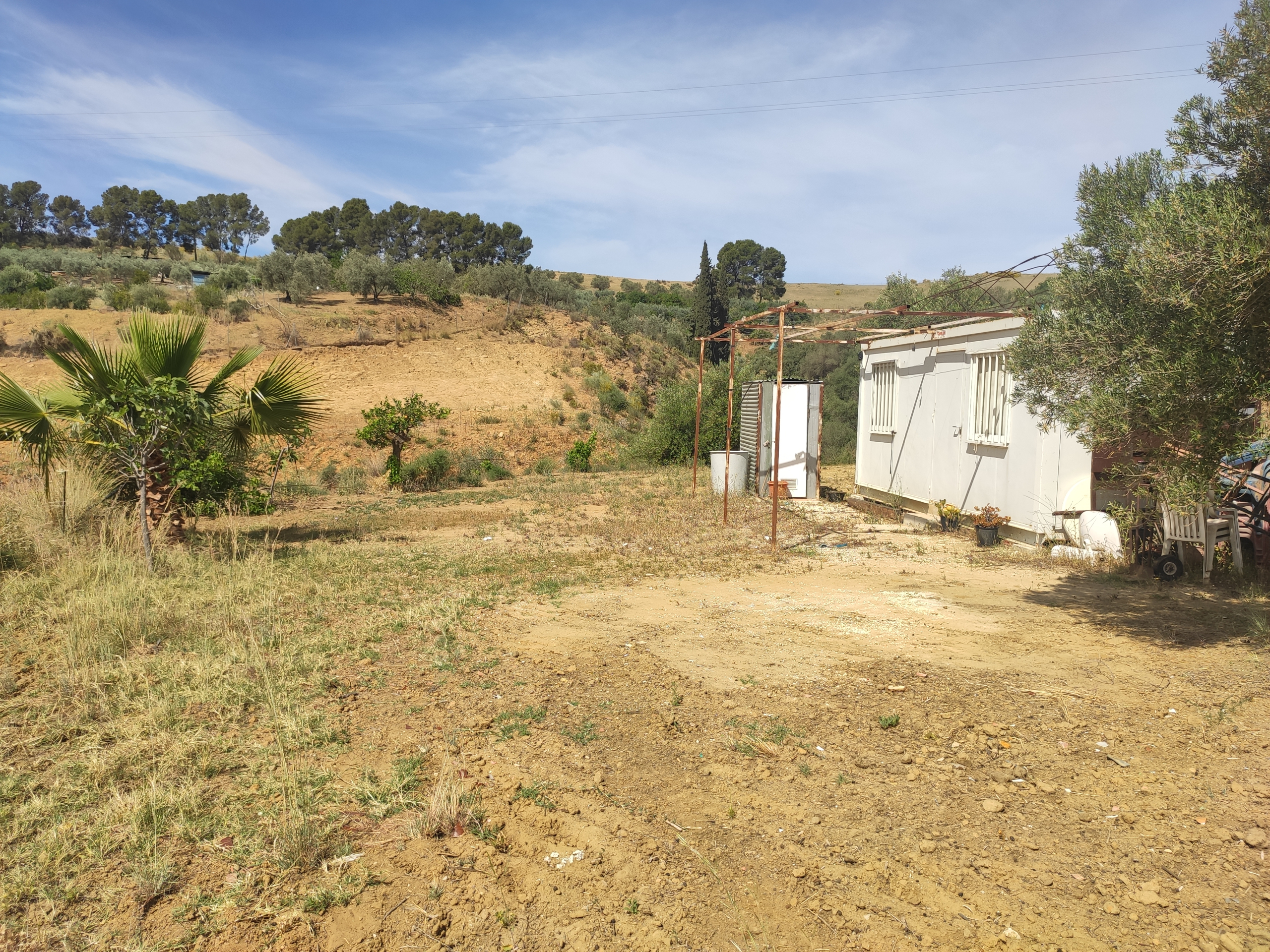 img-20230504-115051-jpg_52af0aa2-24f6-4982-a668-c6d928d6980c